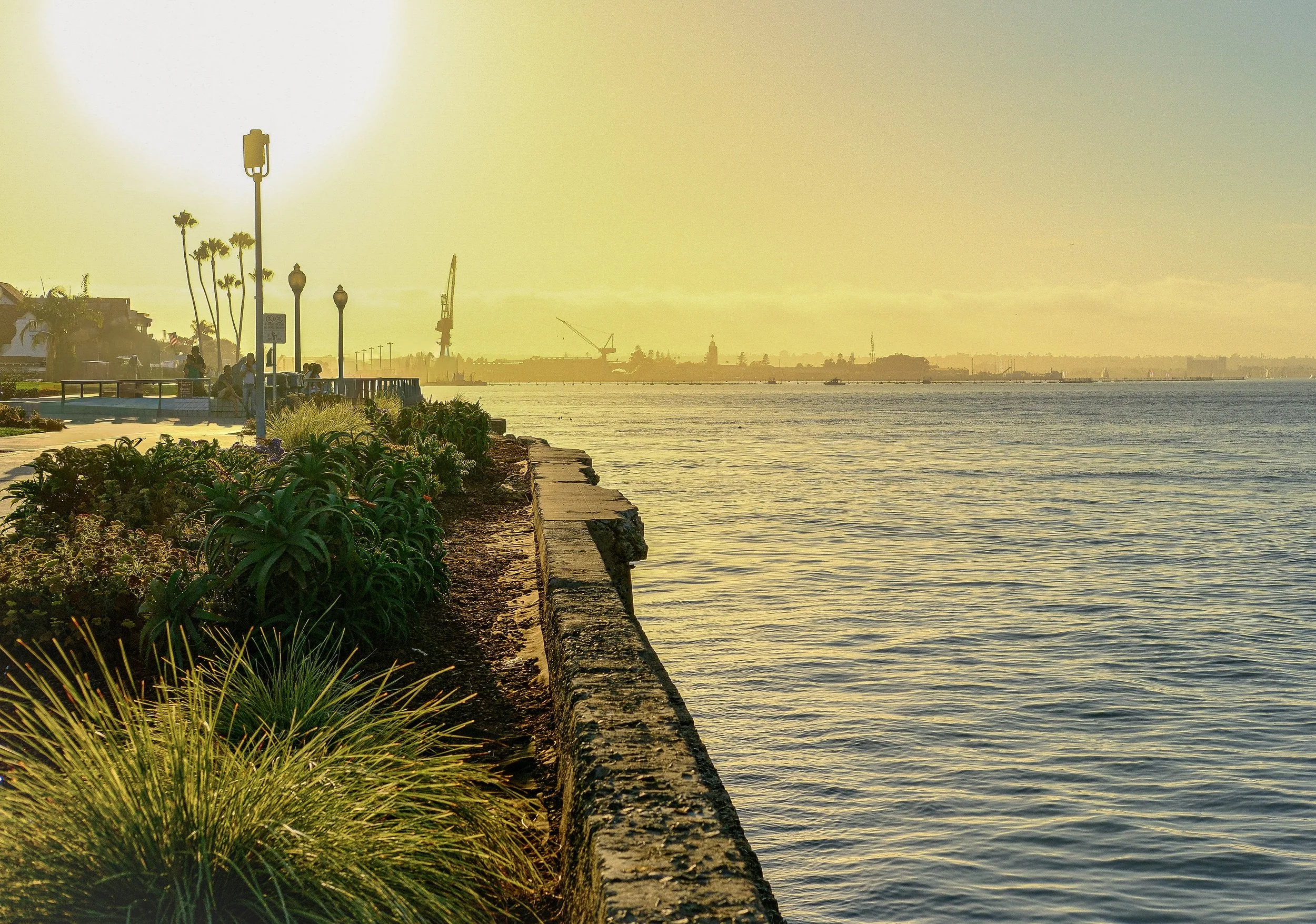 SAN-DIEGO-BAY-SUNSET-PROMENADE-RYAN-TERRY-PHOTO.JPG