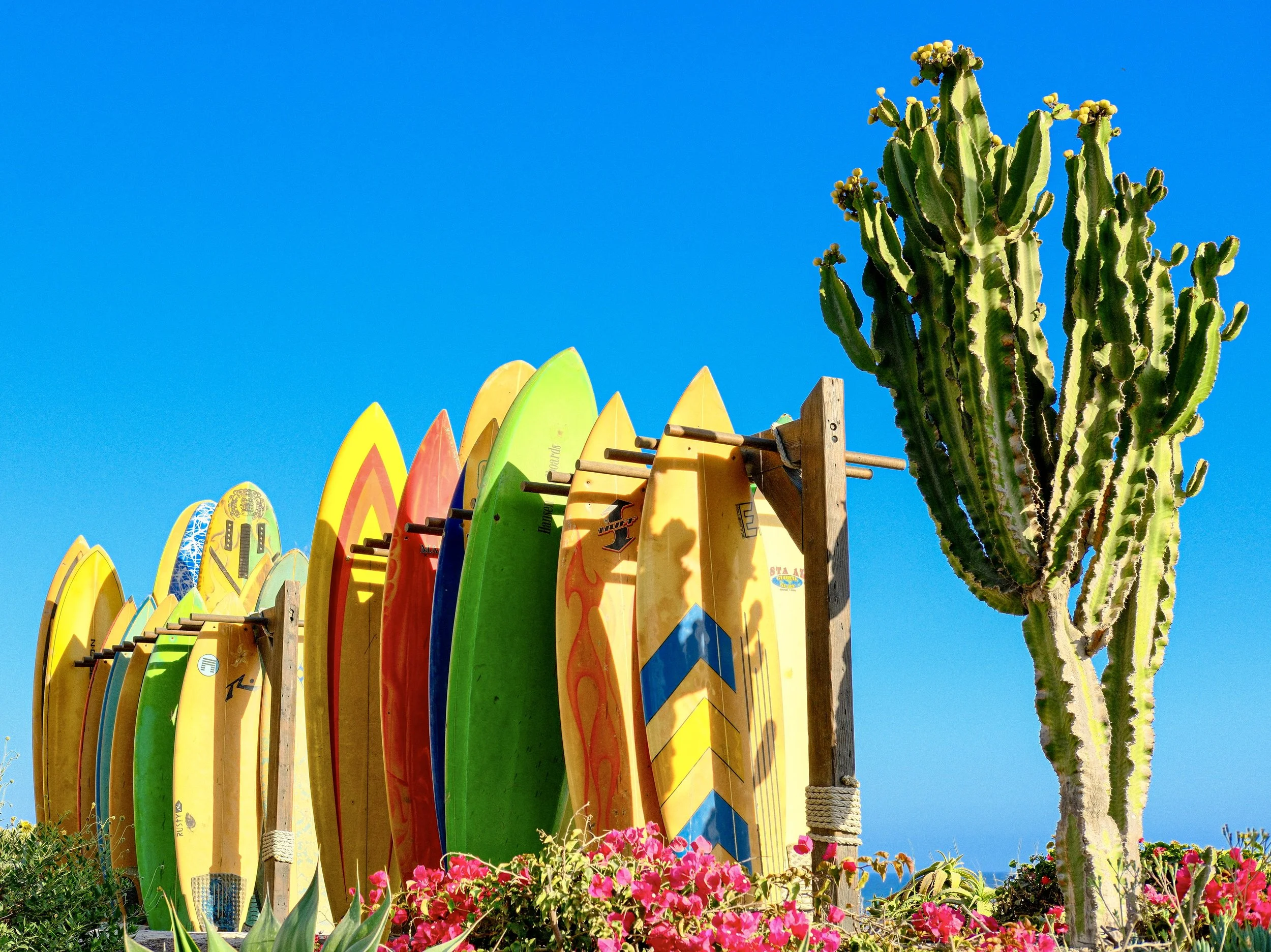surfboards-and-cactus-ryan-terry-photo.jpg
