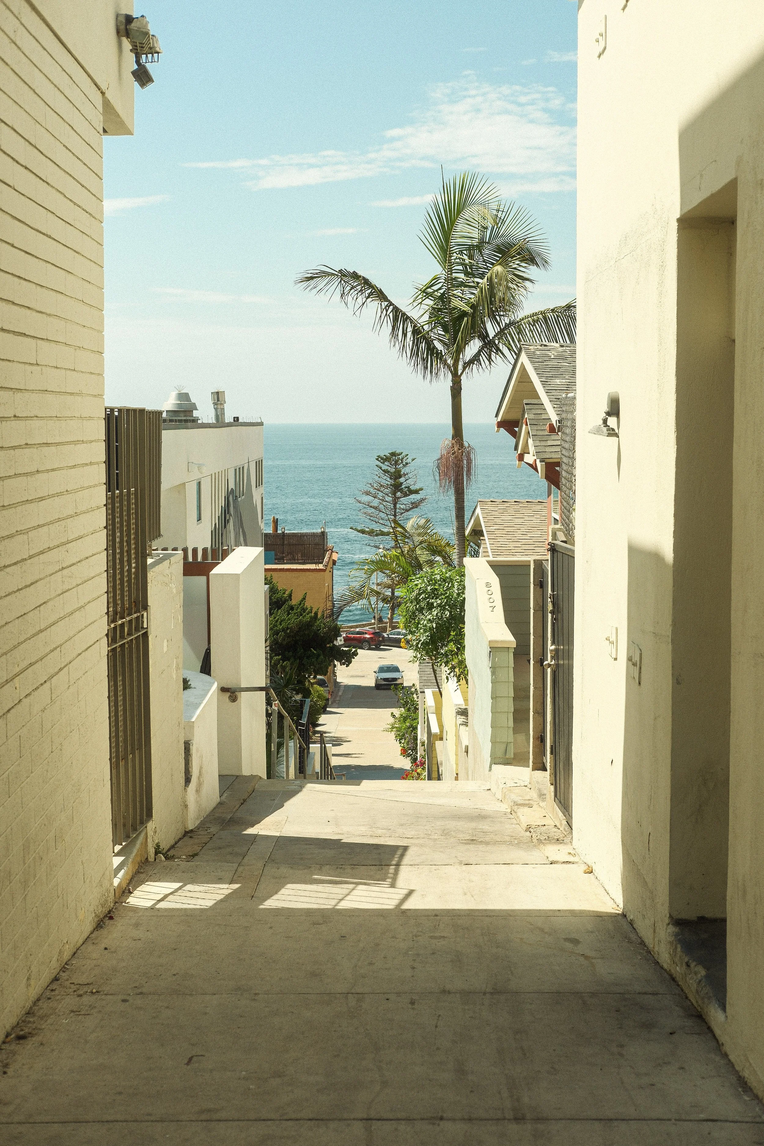 COASTAL-ALLEY-RYAN-TERRY-PHOTO.JPG