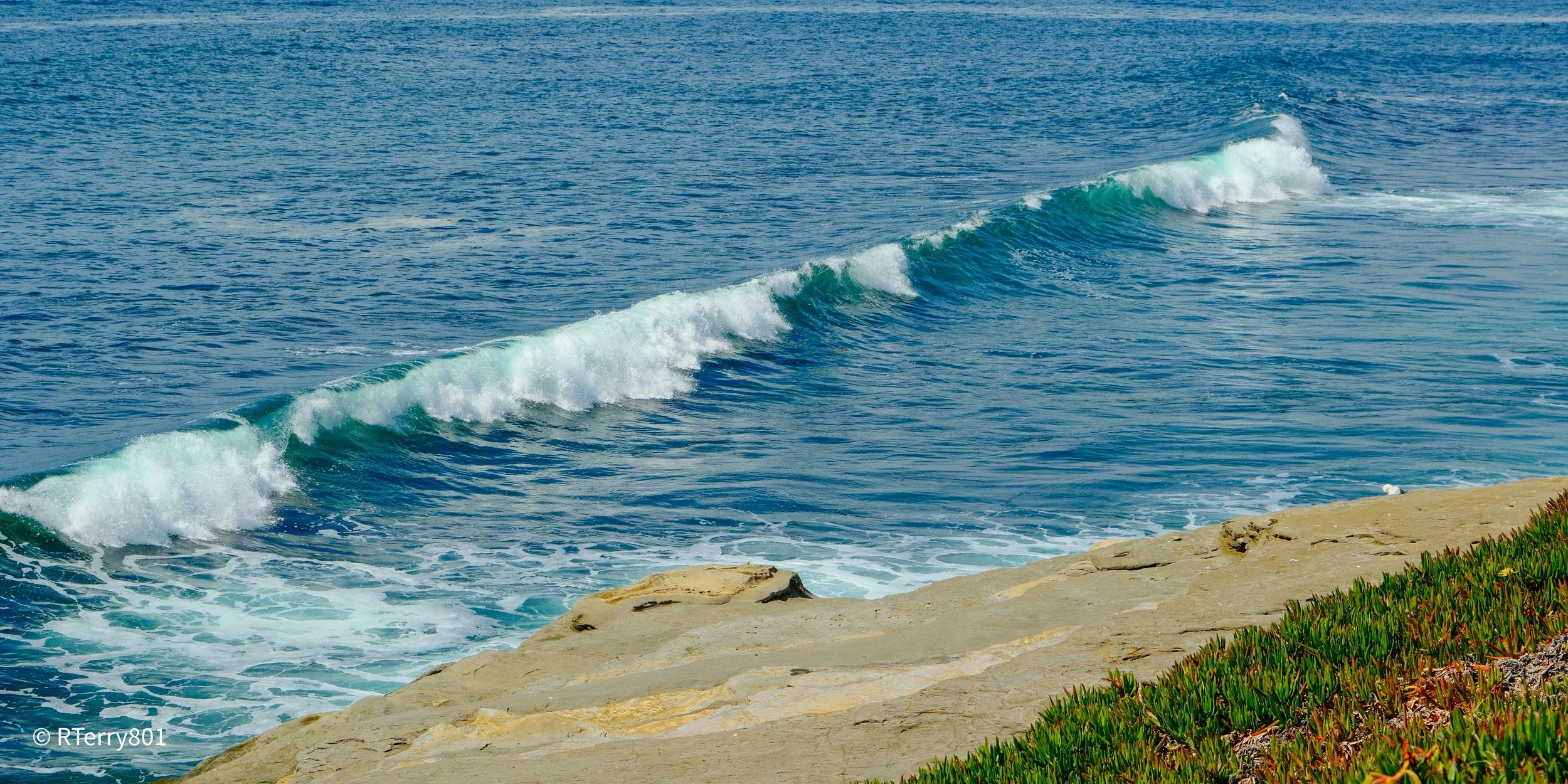 DSCF1678.jpeg