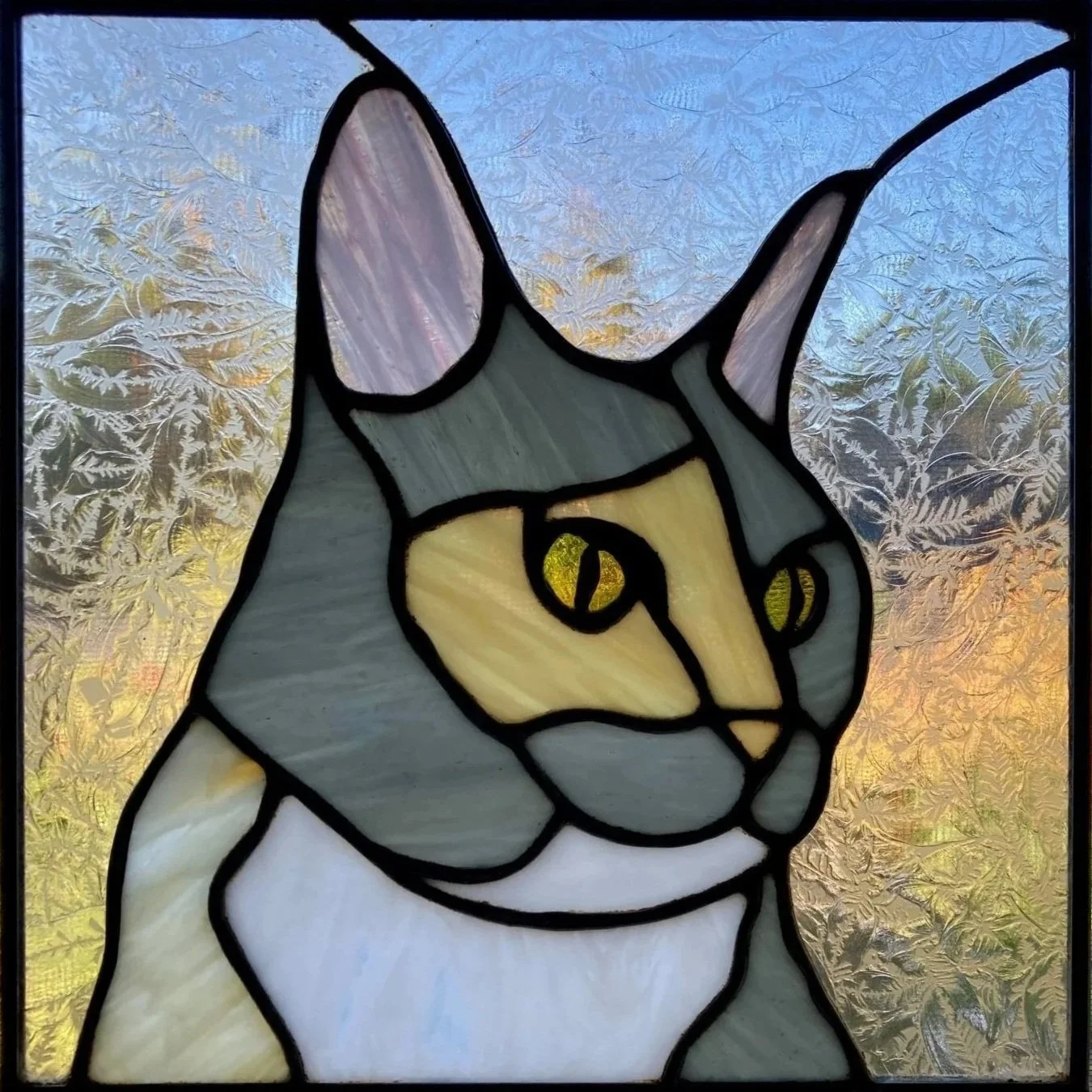 10" square stained glass cat pet portrait. Commissioned in 2026.