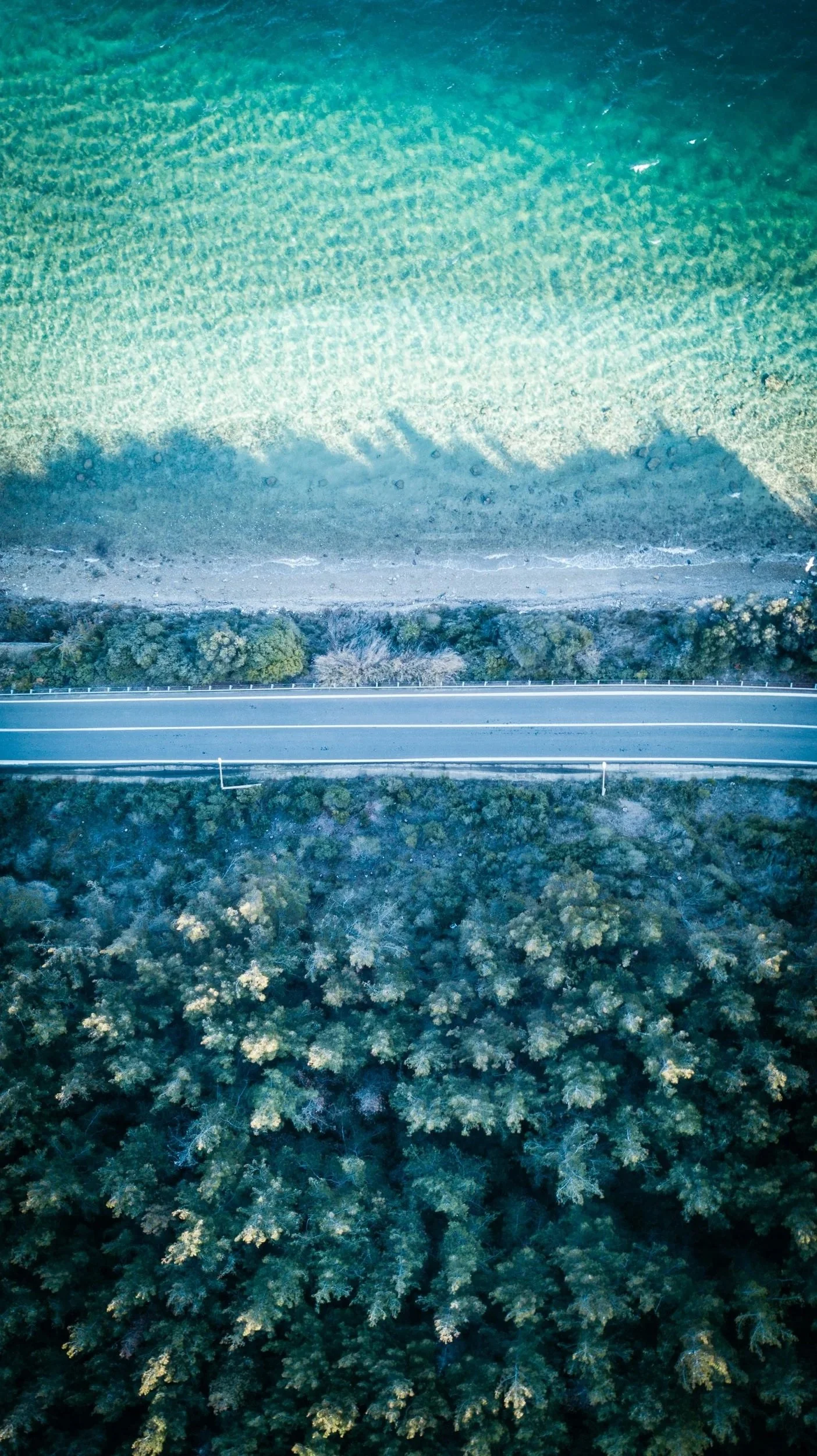 photo taken from above of a road running through the middle of trees with the sea one side, in blue and green tones