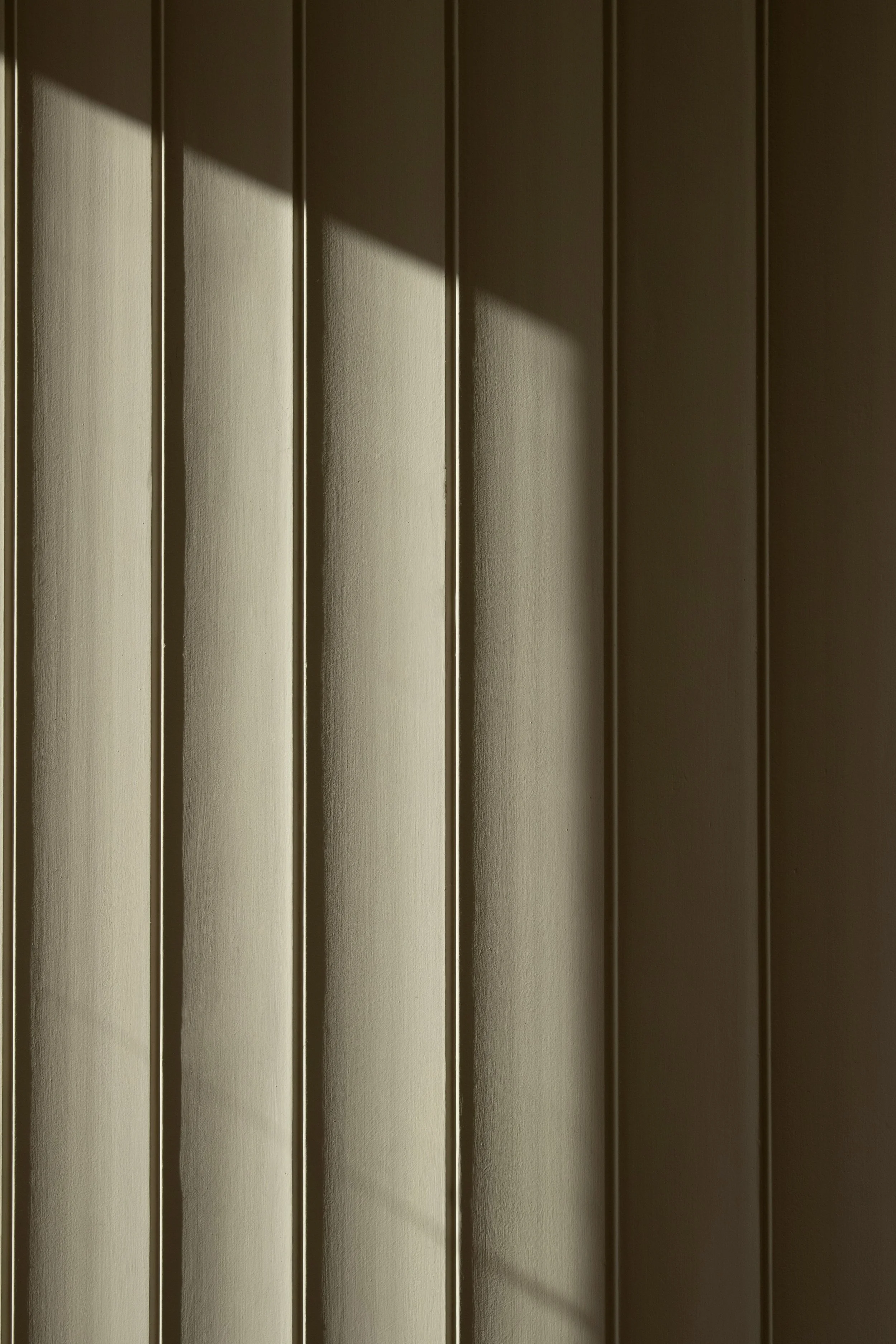 atmospheric photo of light and shadow with vertical lines