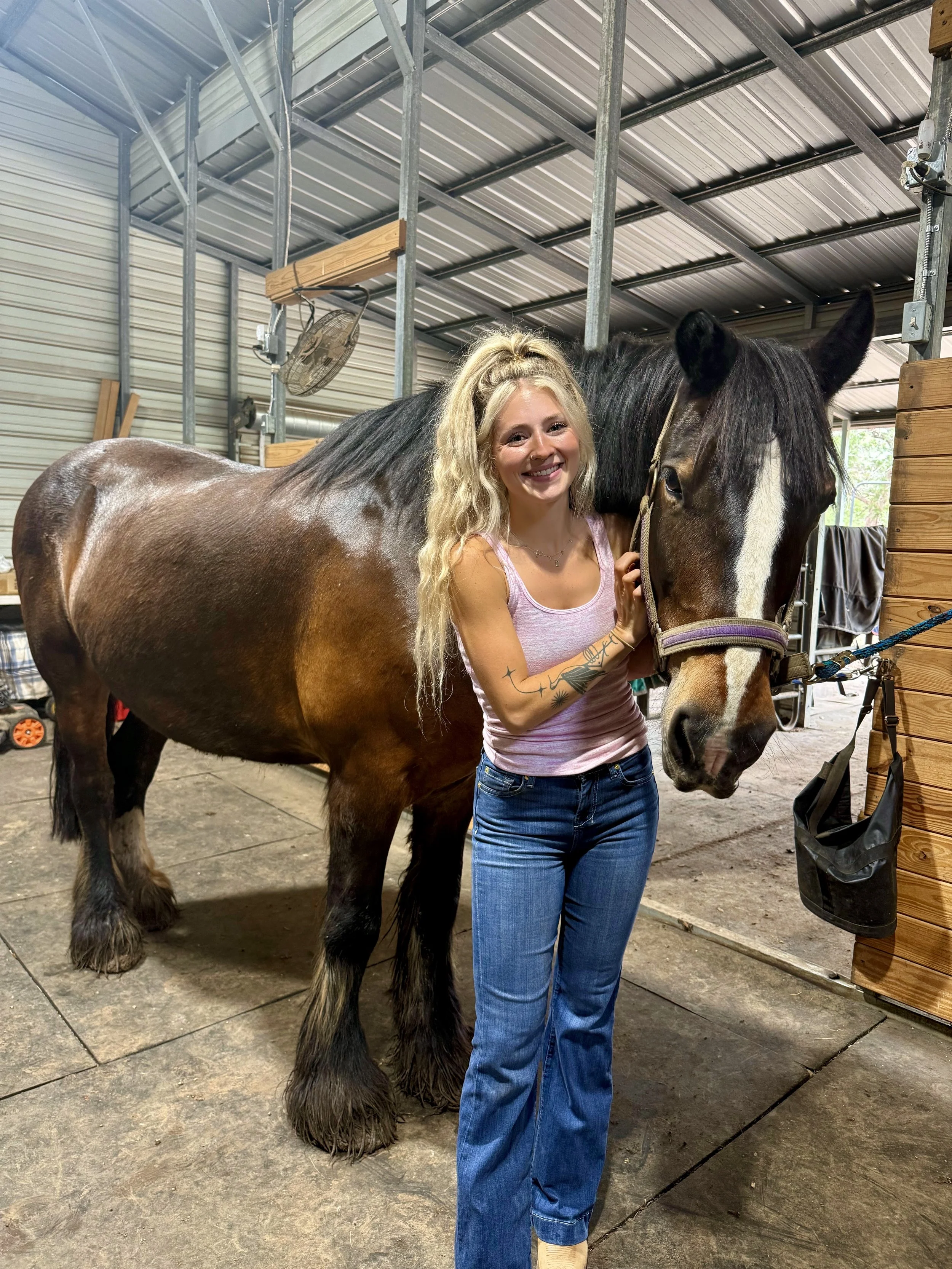 Kara, certified equine sports massage therapist and owner of gulf coast equine bodywork