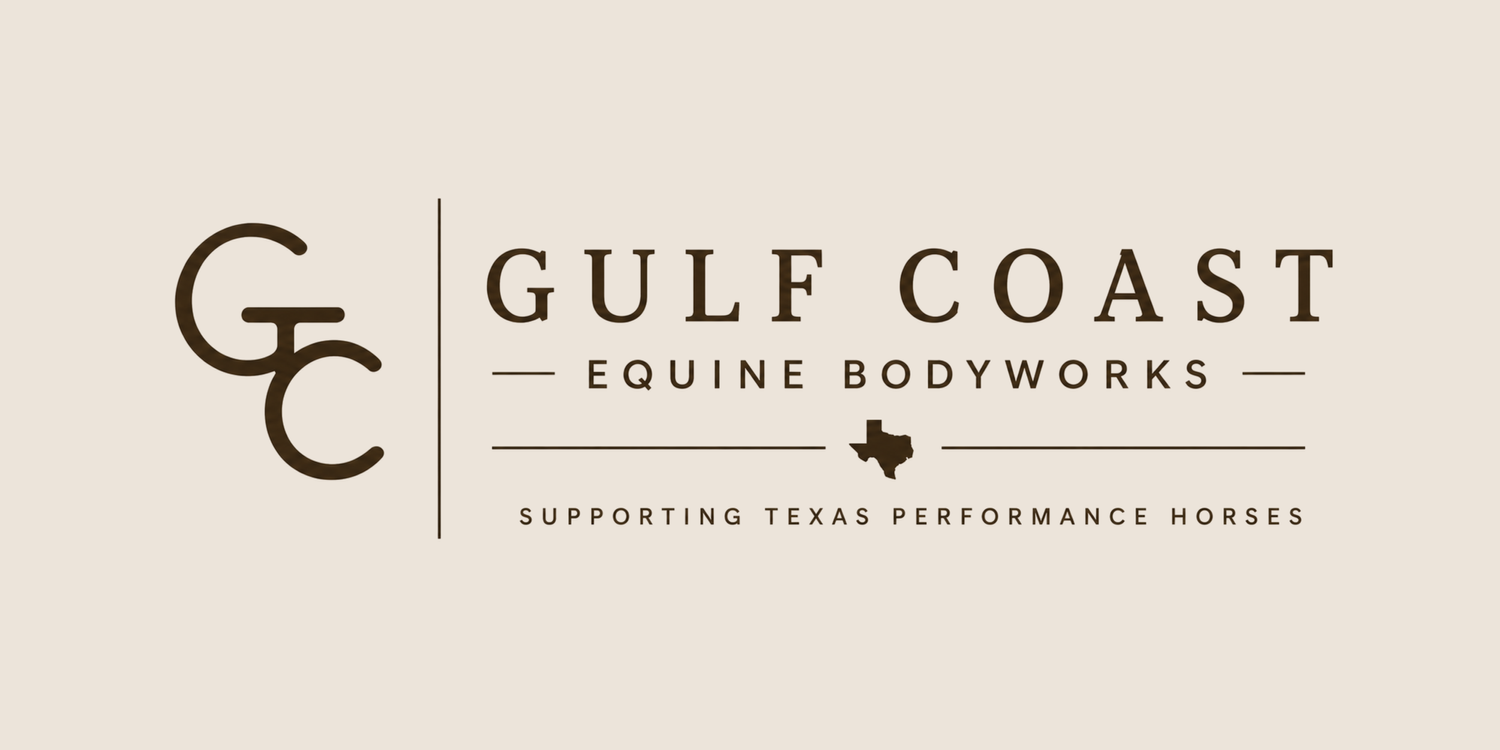 Gulf Coast Equine Bodyworks