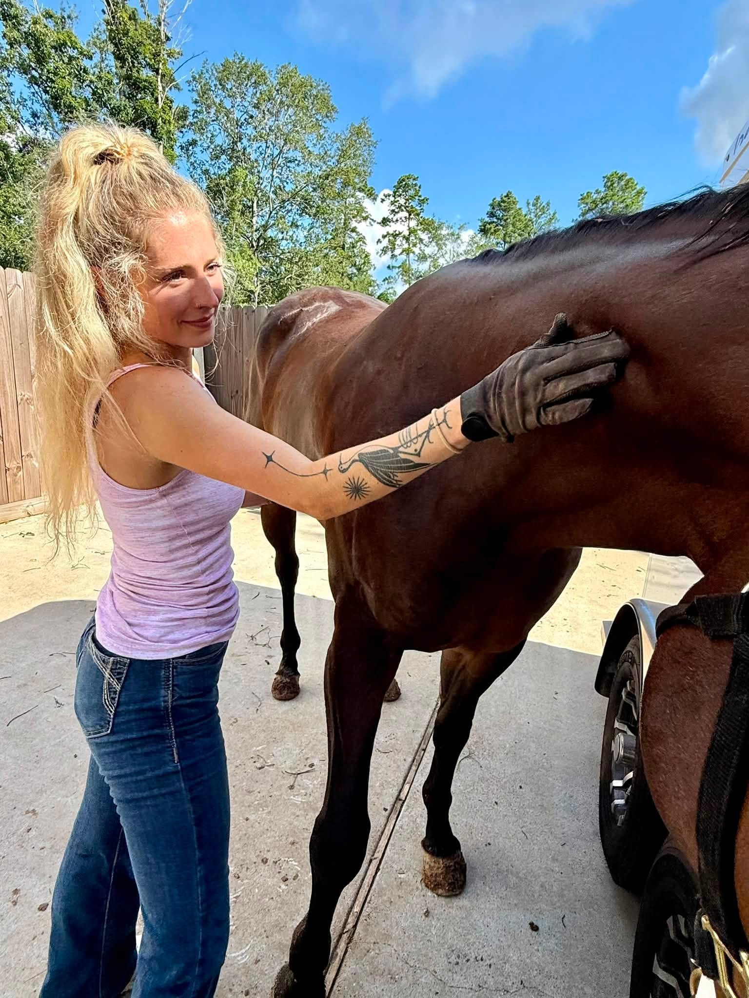 Certified equine sports massage therapist performing equine bodywork on a horse in southeast texas