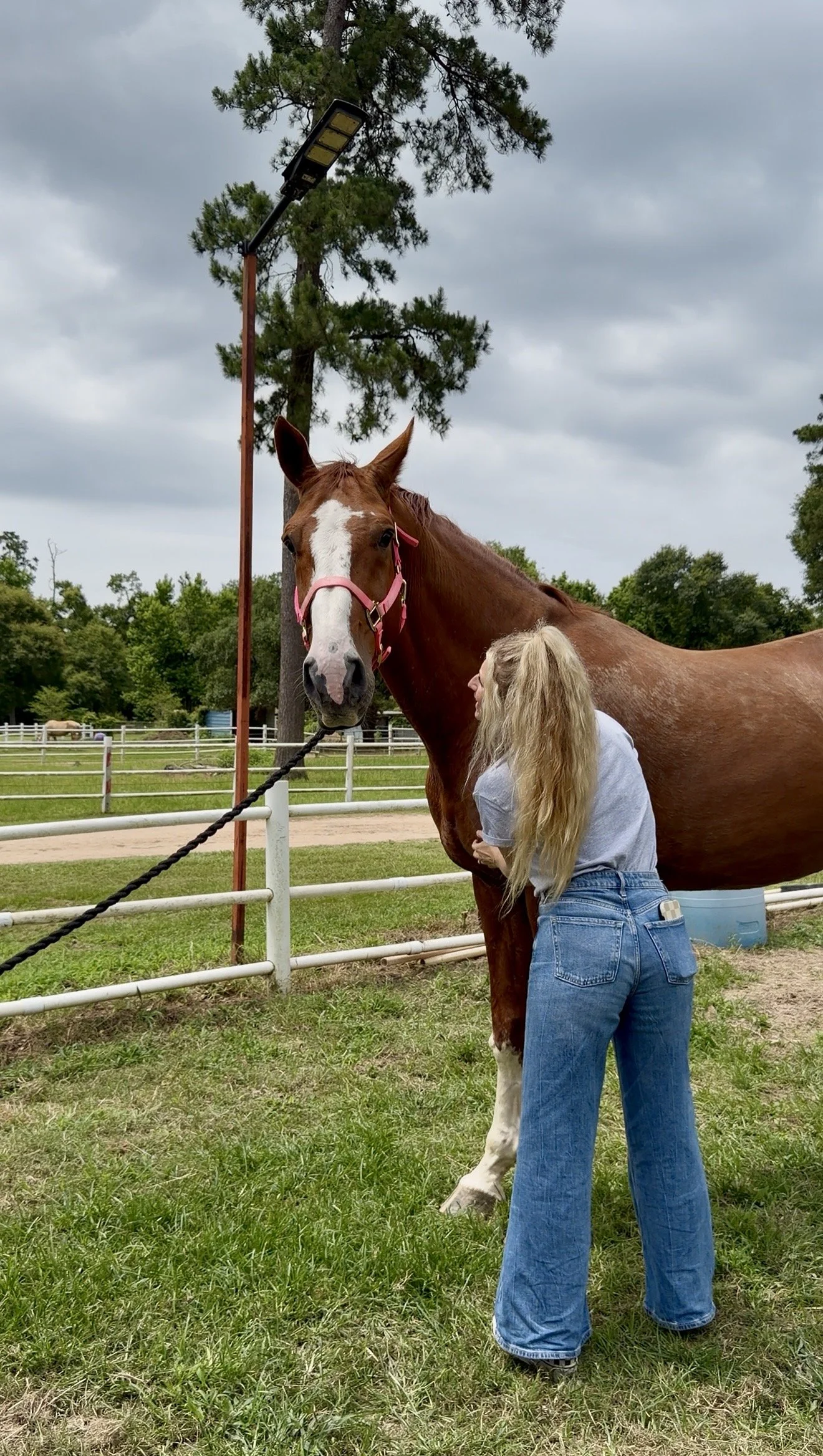 Kara, certified equine sports massage therapist with a client horse.