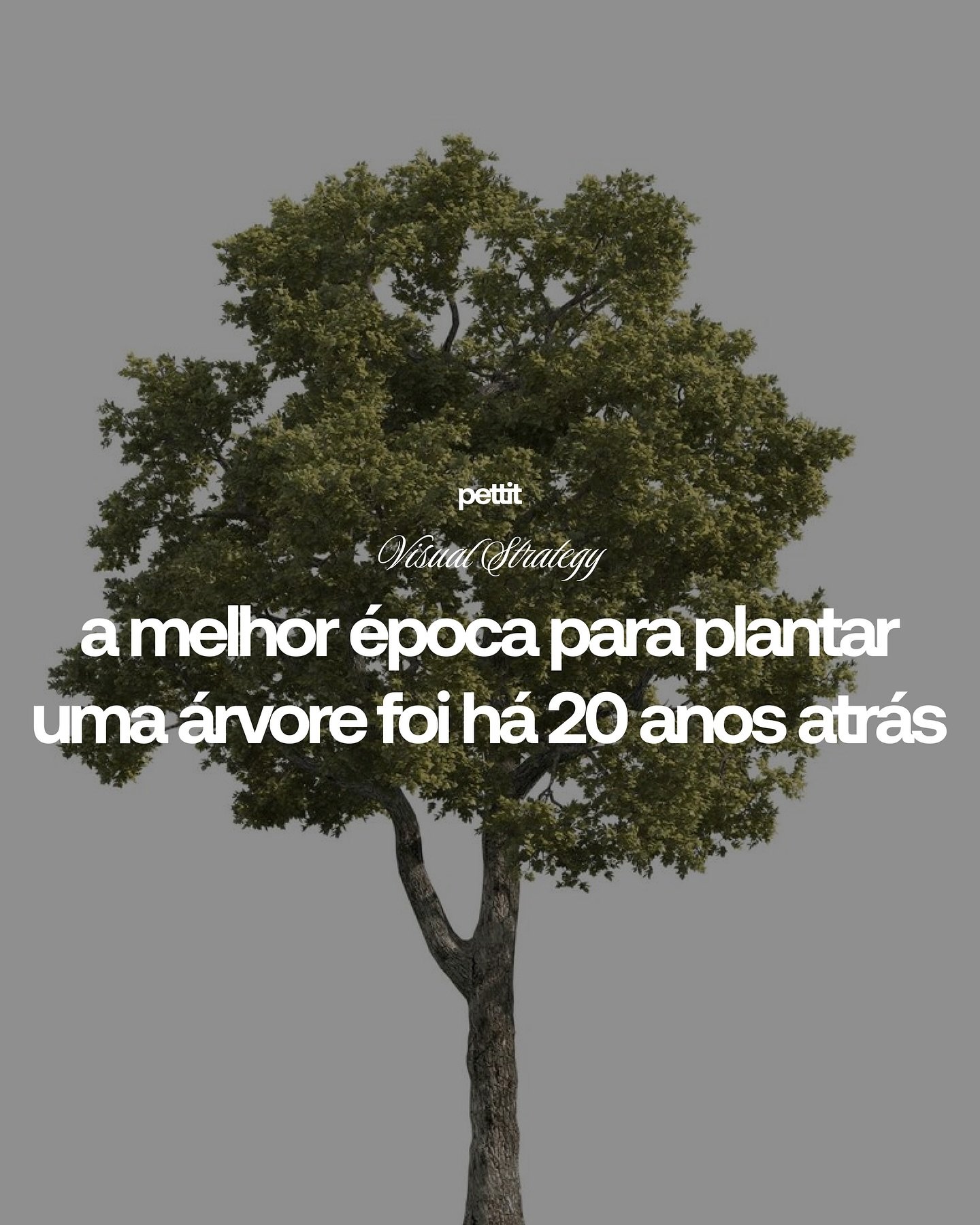 A melhor hora &eacute; agora.
A melhor &eacute;poca pra come&ccedil;ar foi h&aacute; 20 anos.
Mas a segunda melhor &eacute; agora.

Esperar tamb&eacute;m &eacute; uma decis&atilde;o.
S&oacute; que o tempo n&atilde;o espera.

Toda marca forte tem algo