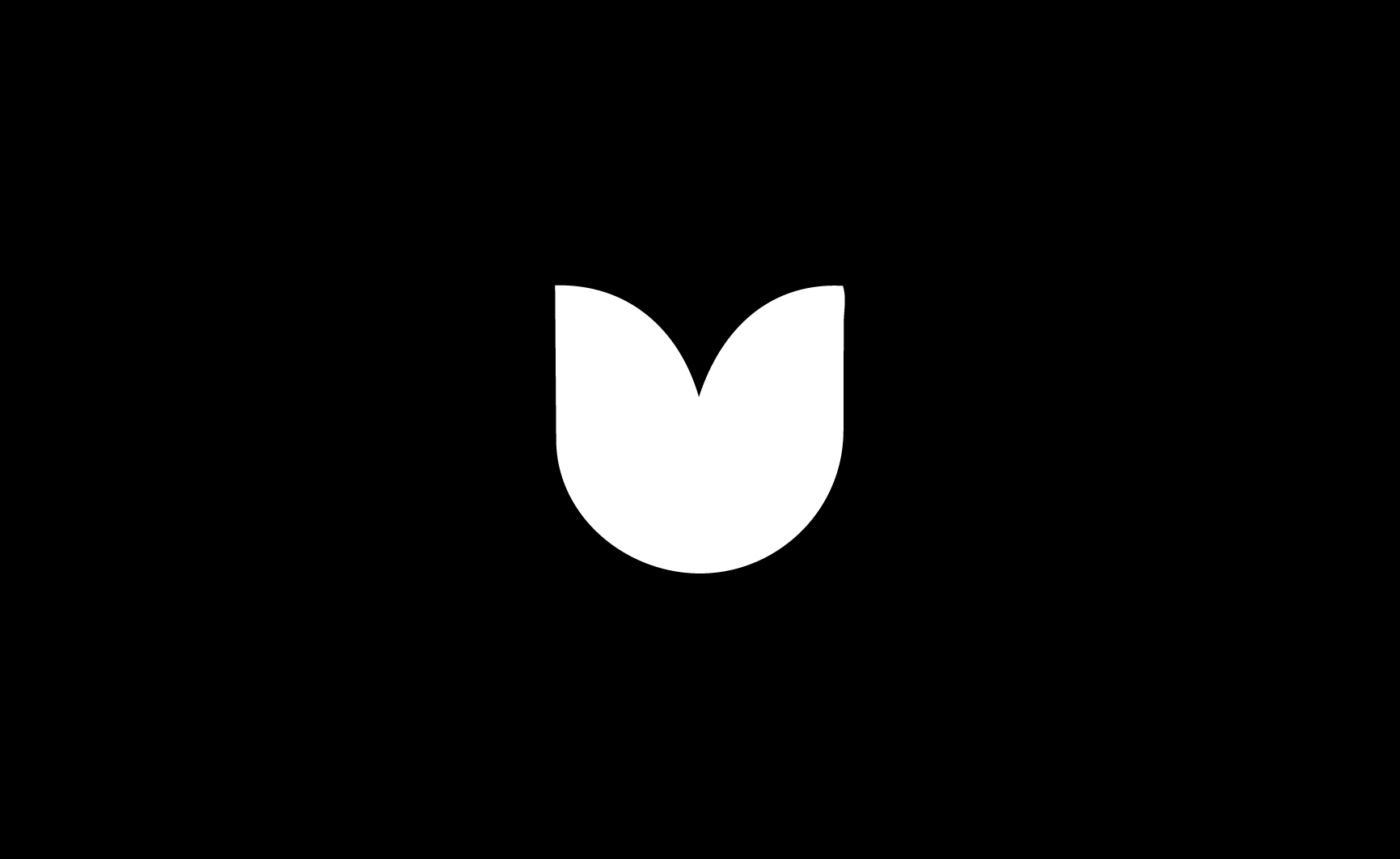 Black background with a white tulip centered in the image.