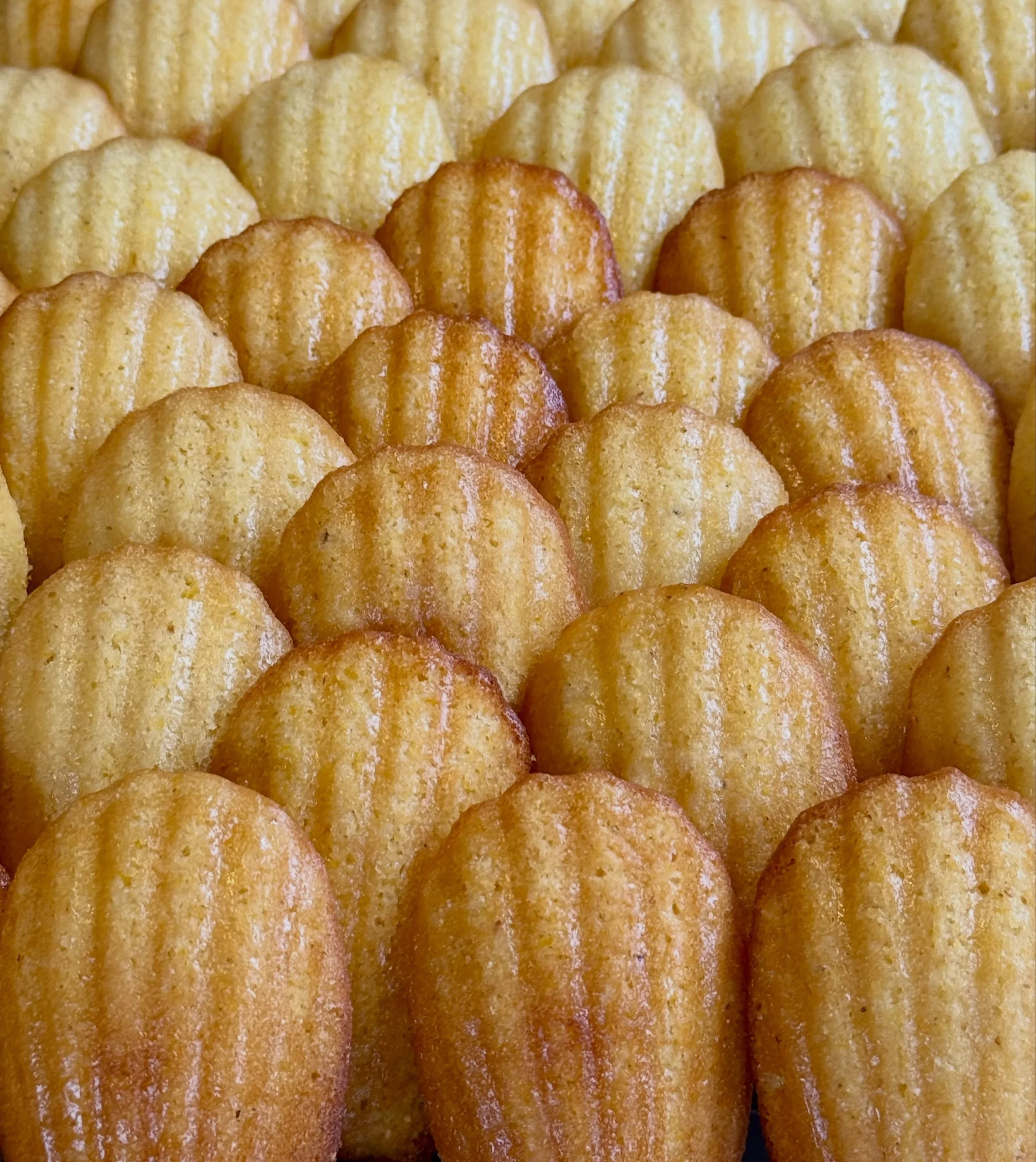 🔔CORNBREAD MADELEINES🔔 back and better than ever! On the counter every day! It&rsquo;s the dog days of summer!