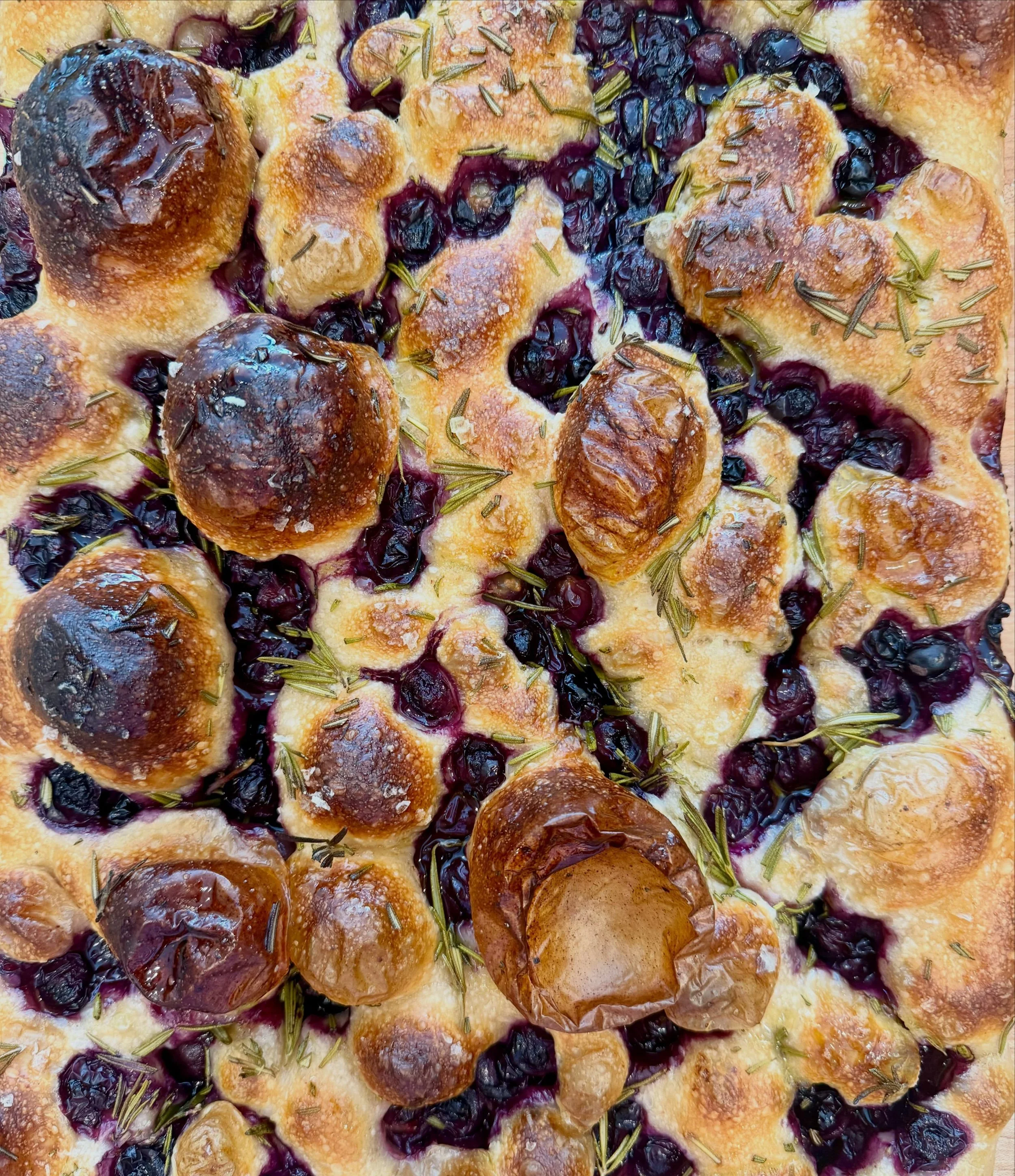 🌿🍇🌿🍇🌿🍇🌿🍇🌿🍇🌿

We&rsquo;re having a lot of fun with our rotating ~special focaccias~, which we make in addition to our sea salt &amp; olive oil! They change often, and are topped with seasonal ingredients to keep things fresh. Not forever &a