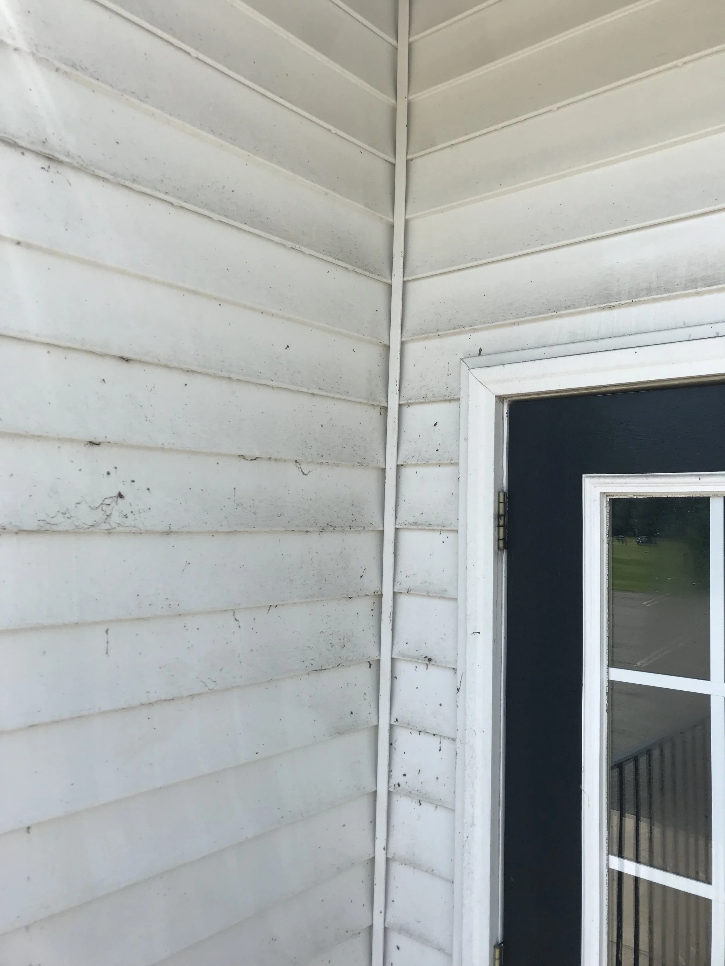 Exterior corner of a building with white siding and a window with black screen and white frame.
