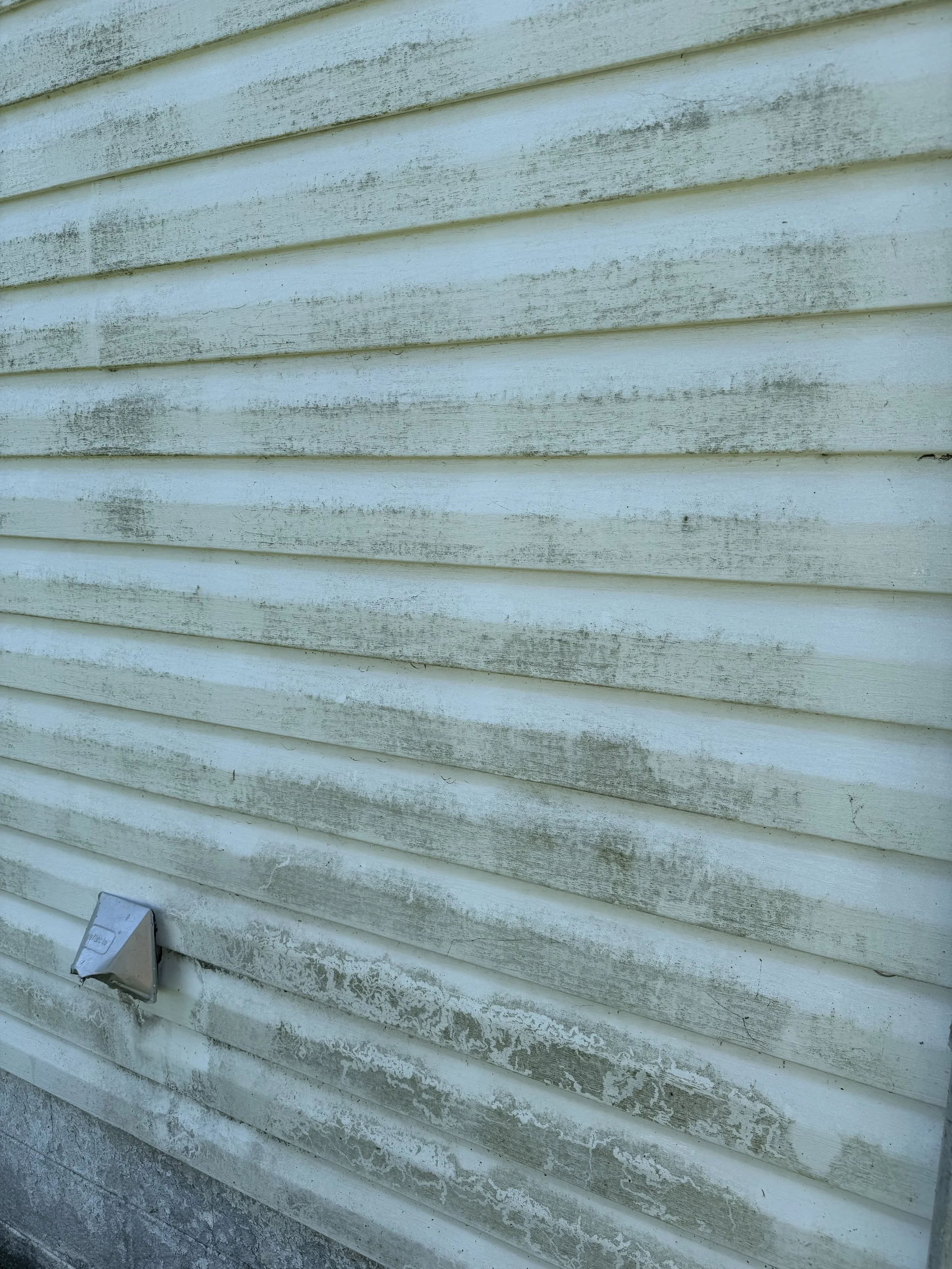 Close-up of a house exterior wall showing yellow horizontal siding with black mold or mildew stains.