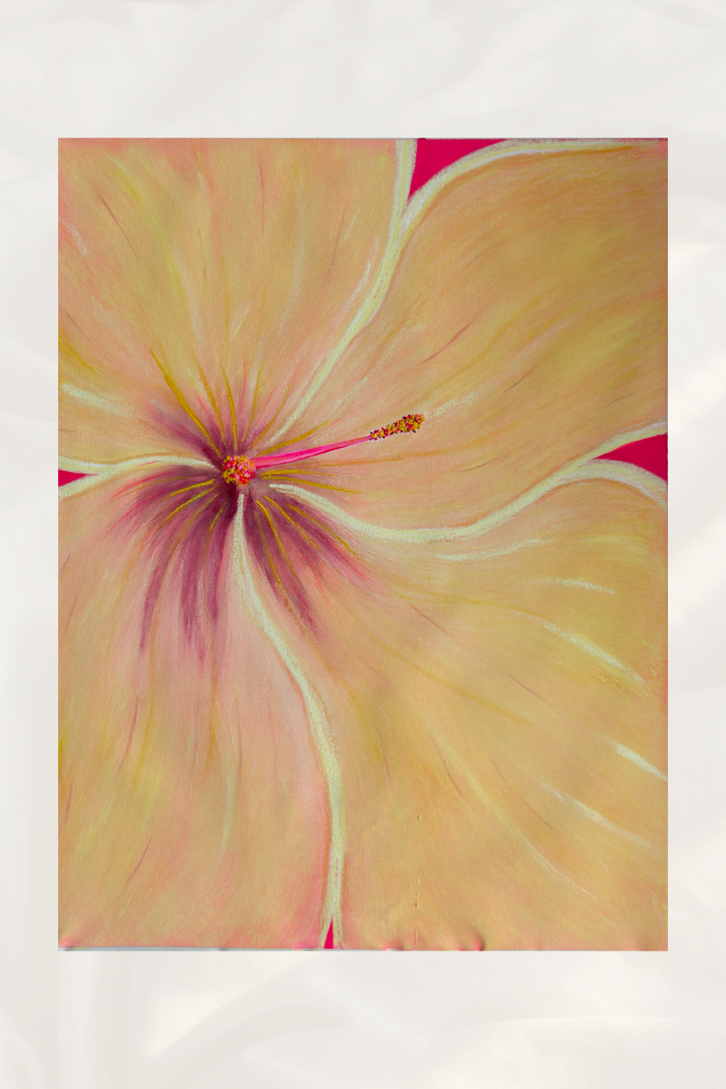 Hibiscus Yellow & Pink