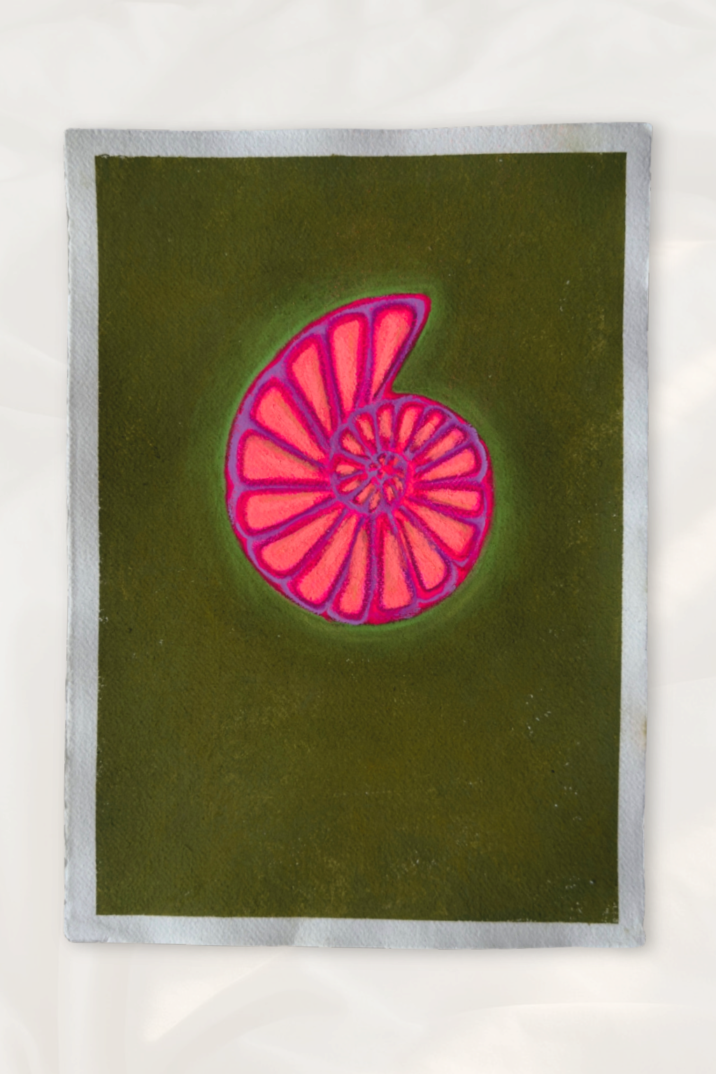 Spiral shell
