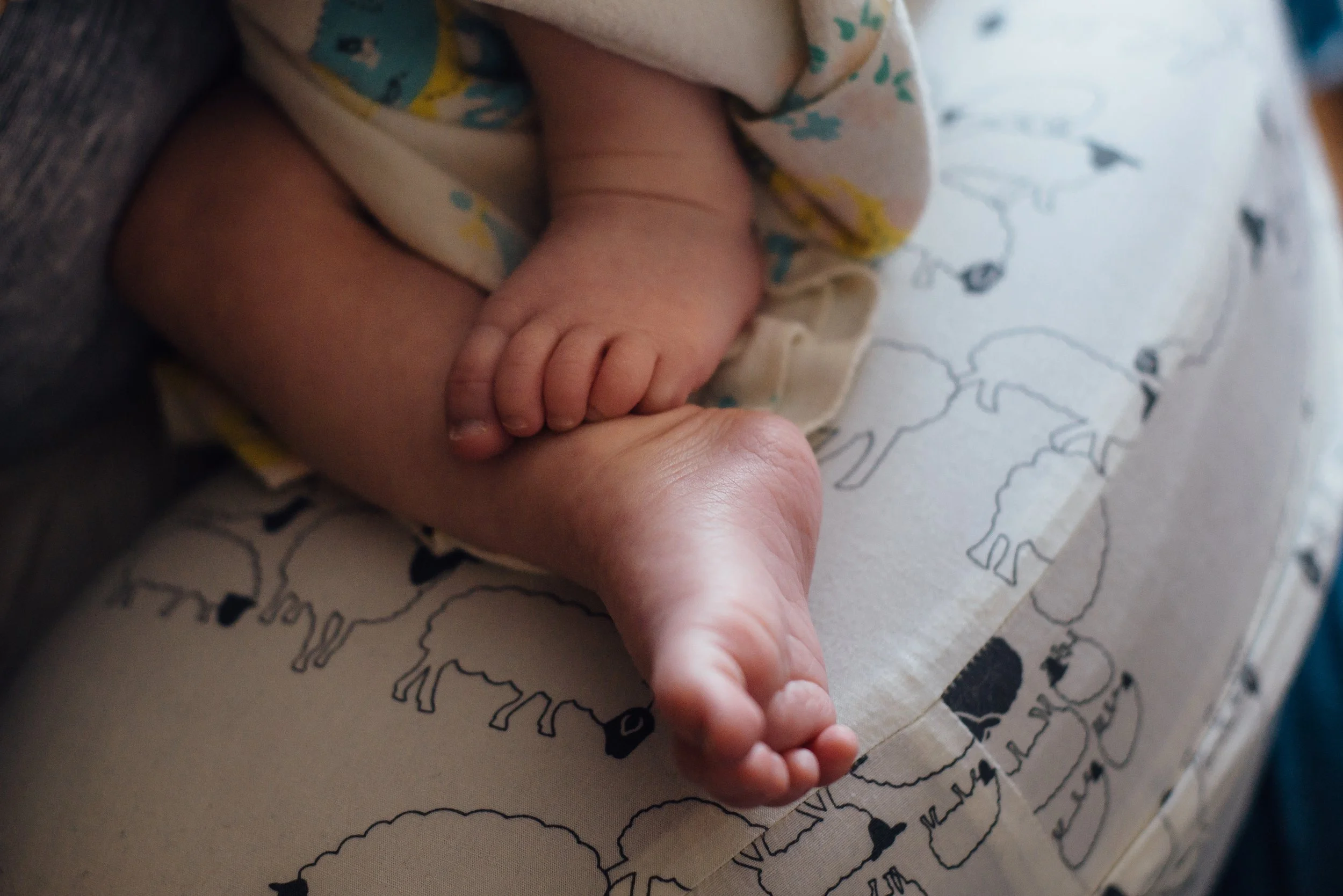 Close-up of  a baby's feet curled up on a light nursing pillow with graphics of animals