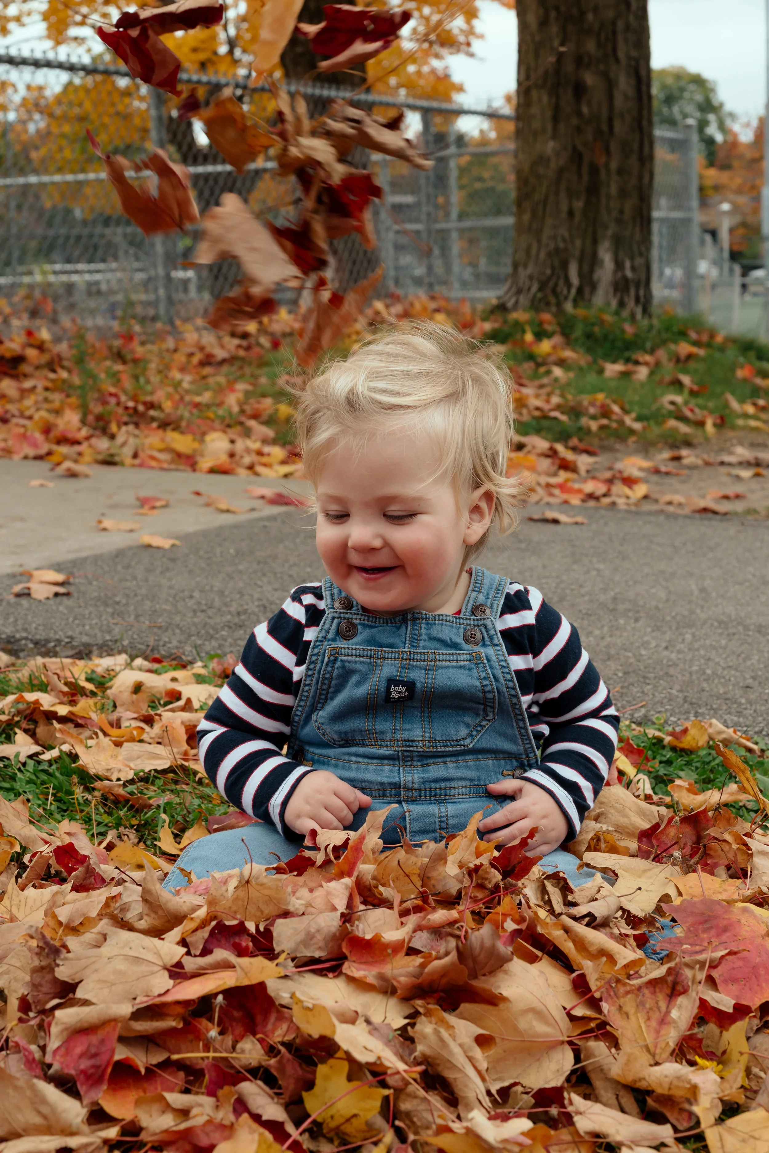 LouisAutumn26_10.jpg