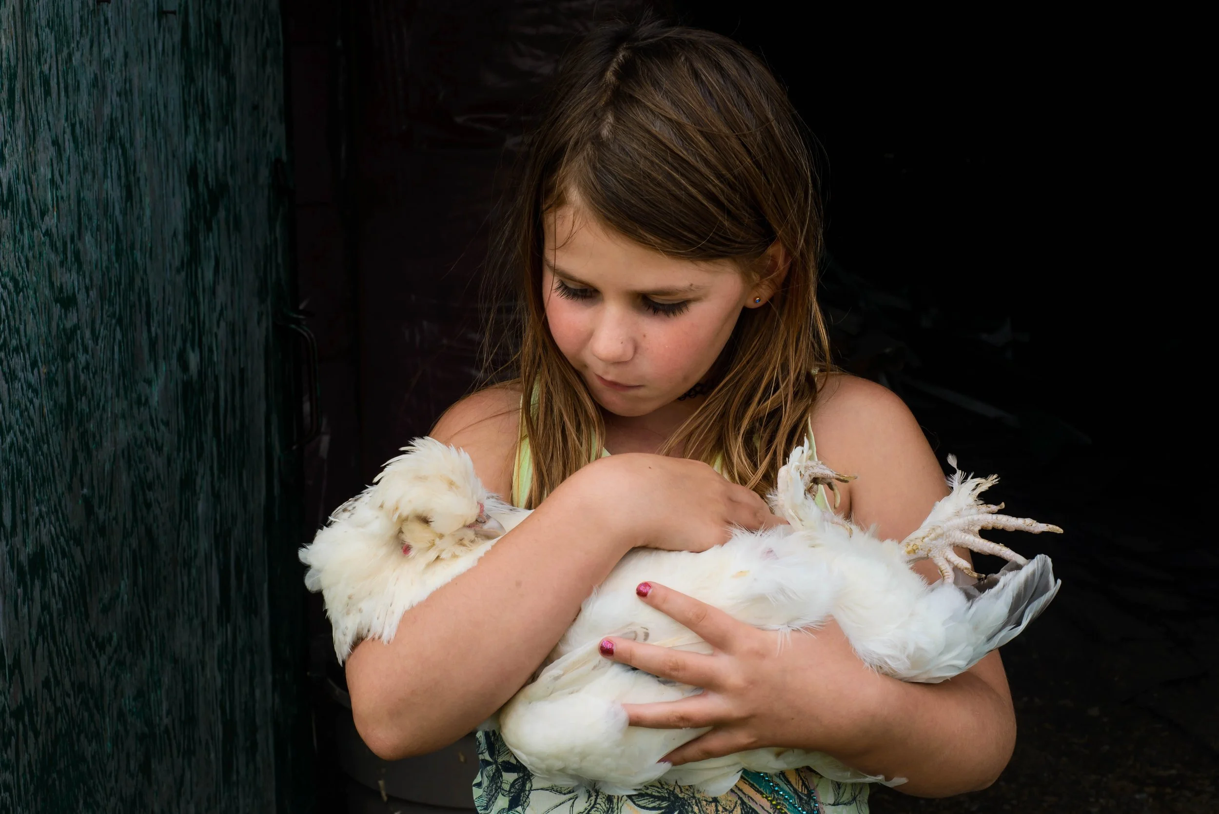 A young girl with long brown hair holding a white chicken, standing indoors near a dark wall. The girl looks down at the chicken with a gentle expression.