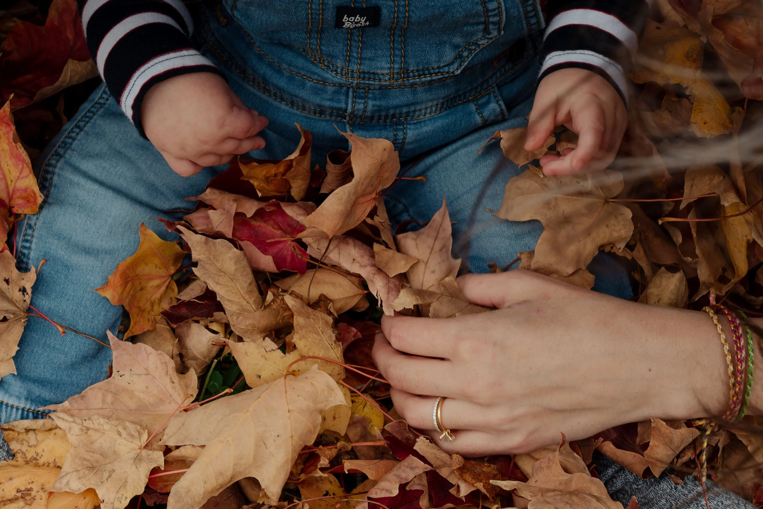 LouisAutumn26_17.jpg