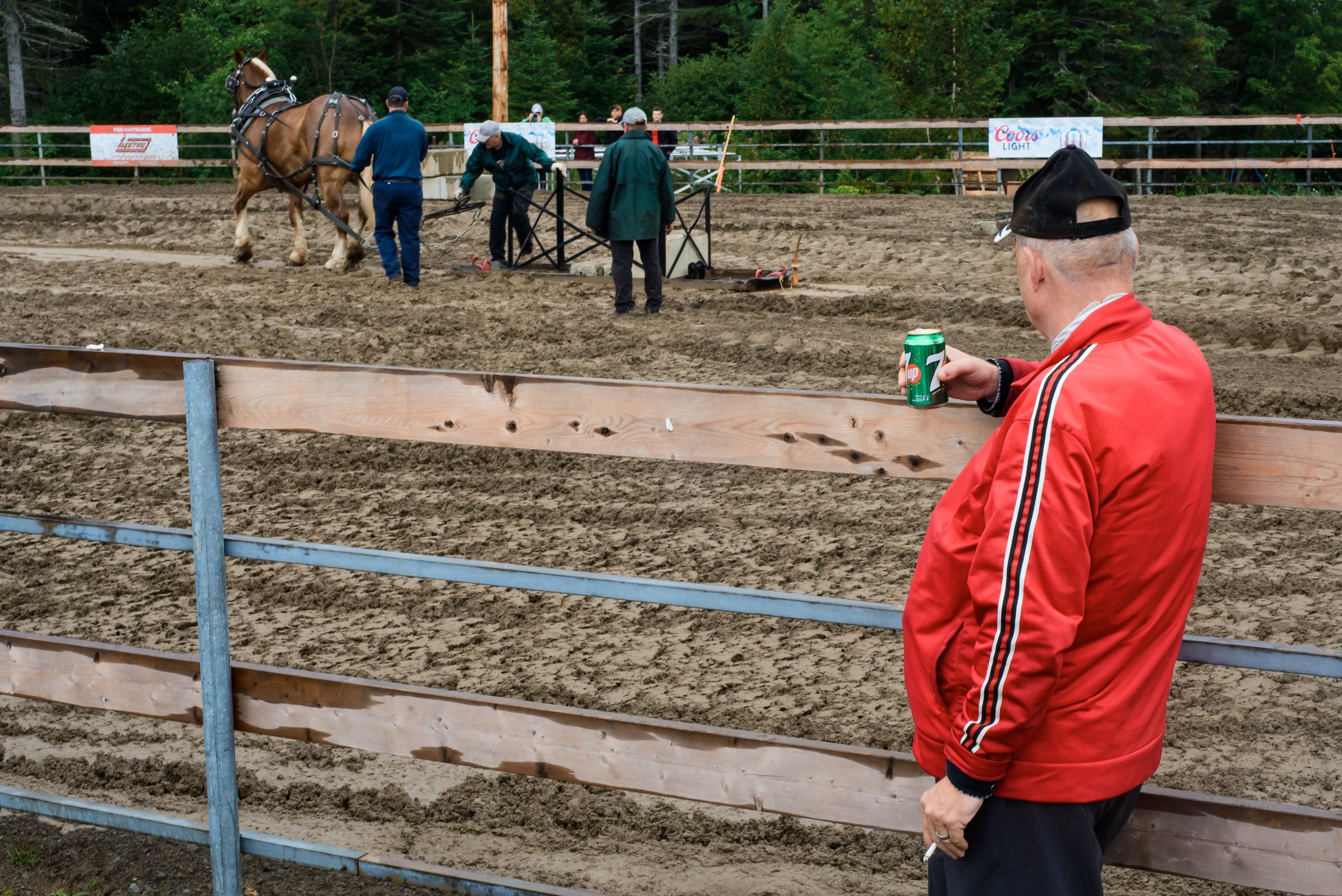 A man in a red jacket holding a can of 7UP soda, watching a horse being harnessed or groomed in an outdoor dirt arena surrounded by a wooden fence, with several people working and observing in the background, and lush trees behind the fence.