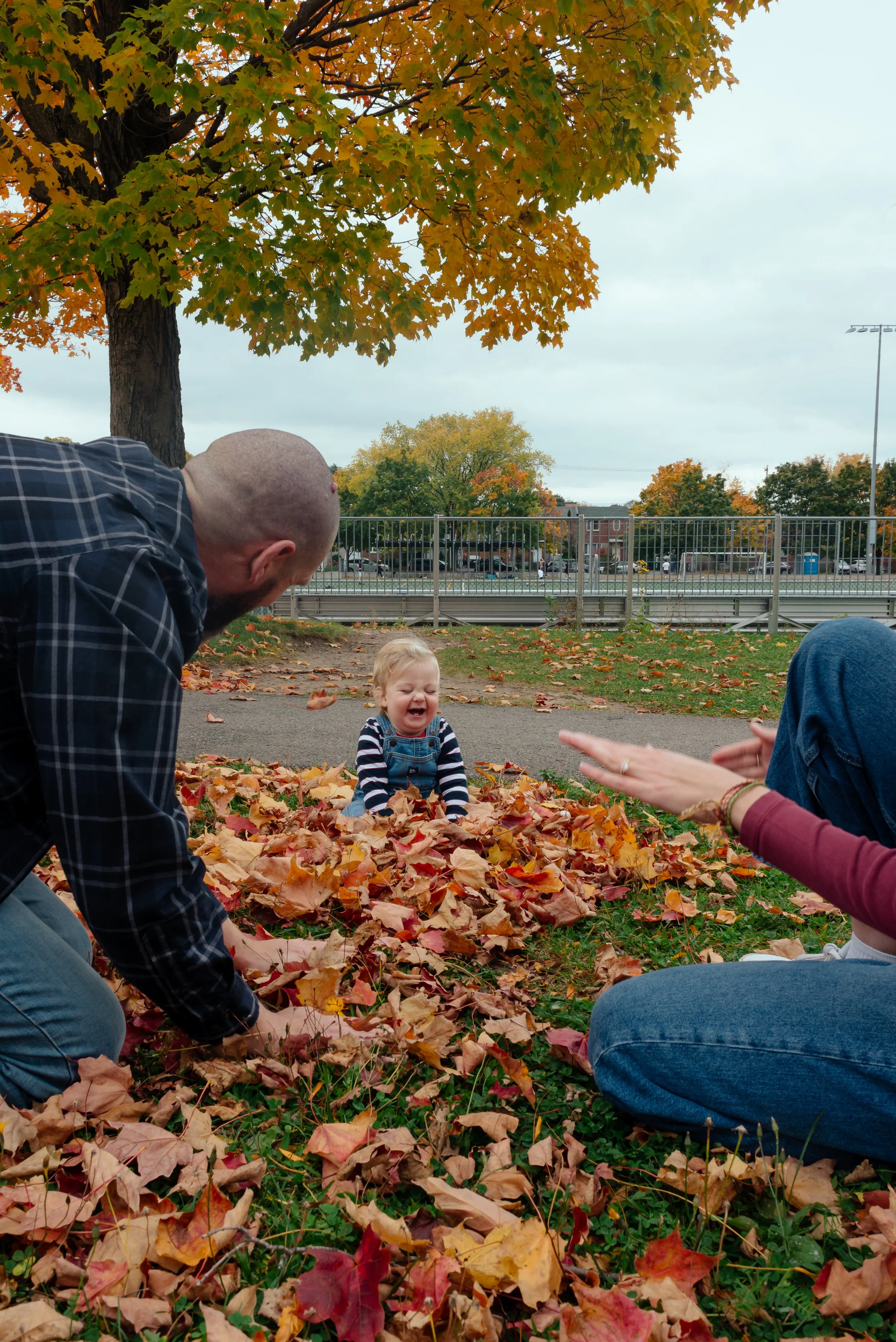 LouisAutumn26_19.jpg