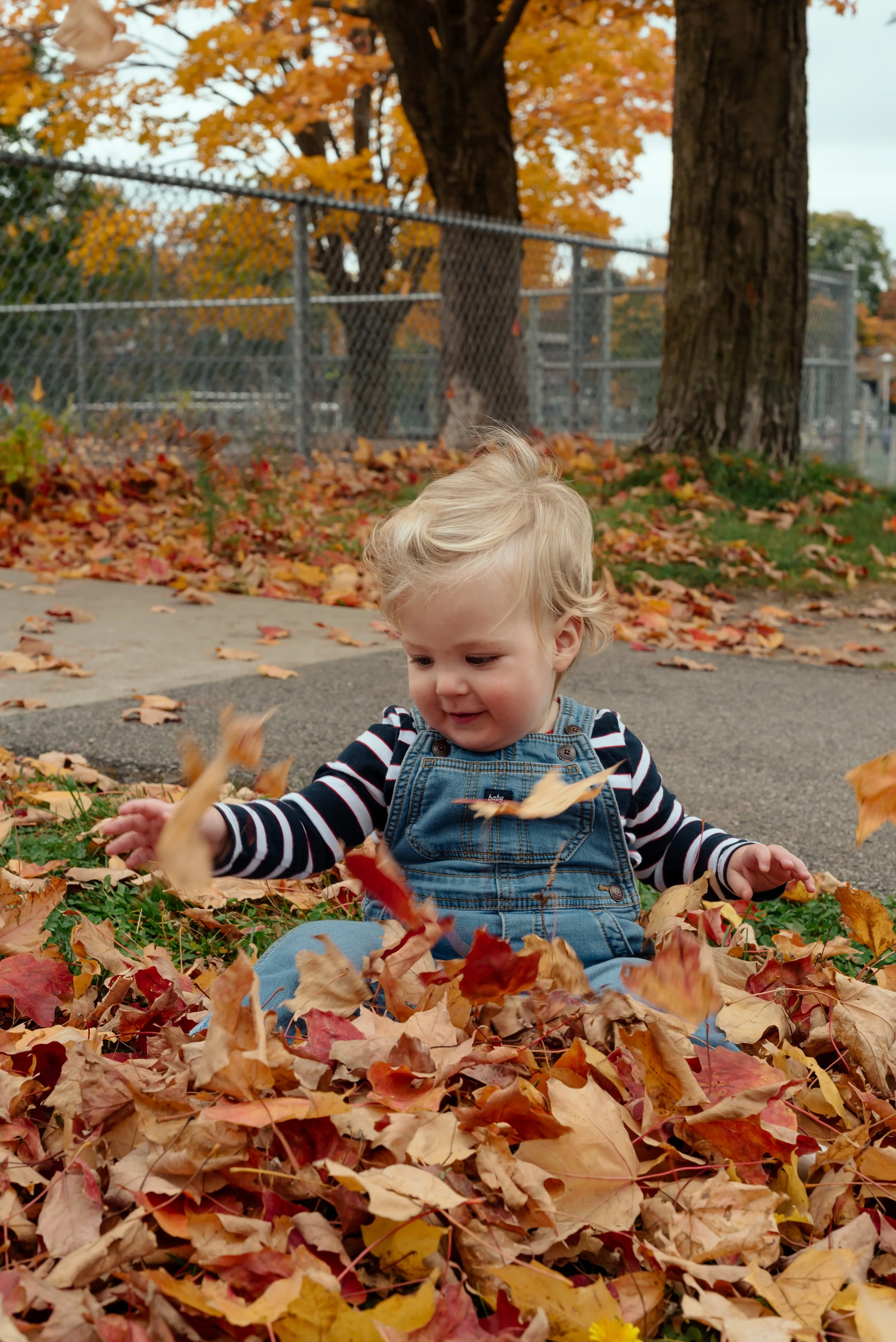 LouisAutumn26_9.jpg