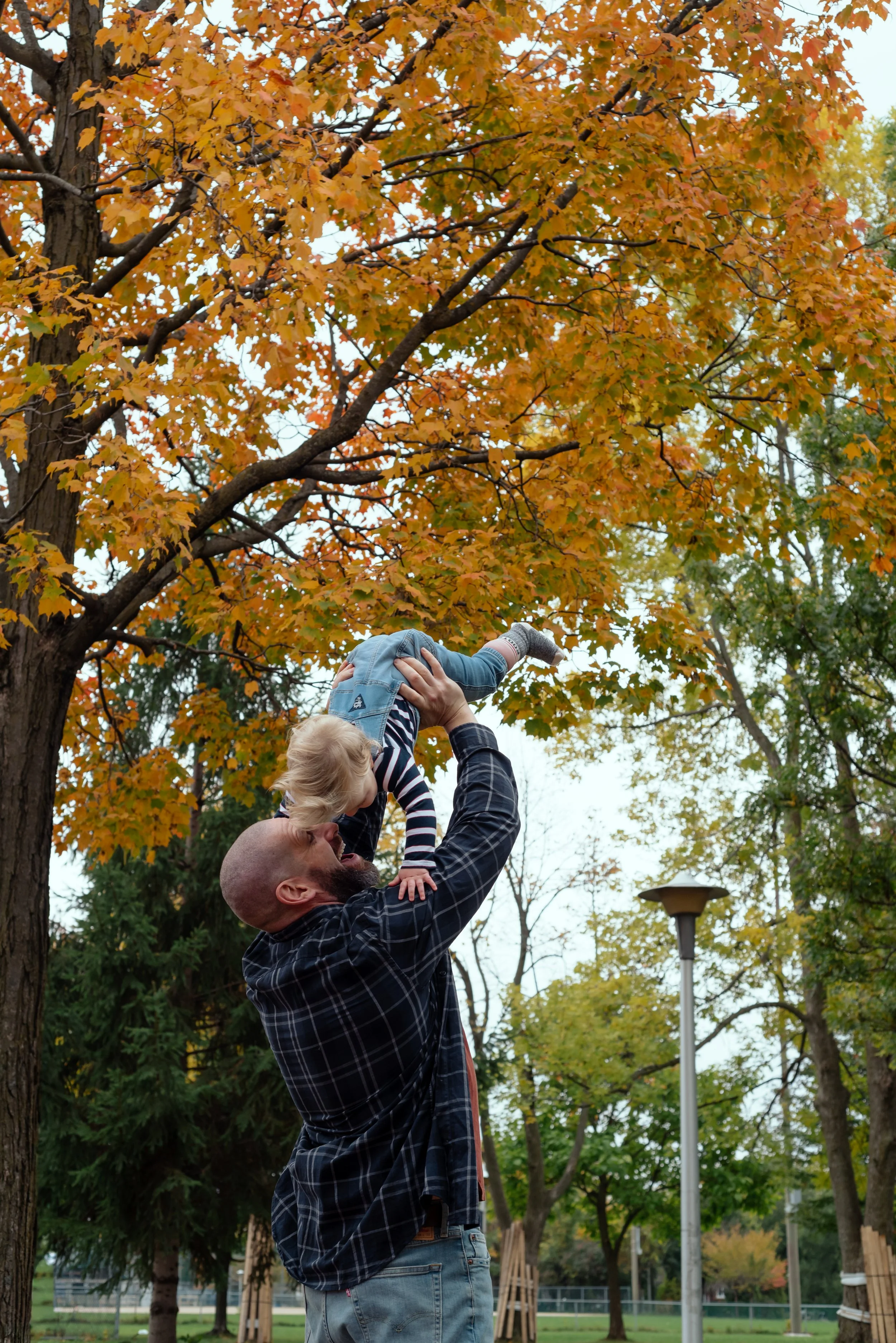 LouisAutumn26_87.jpg