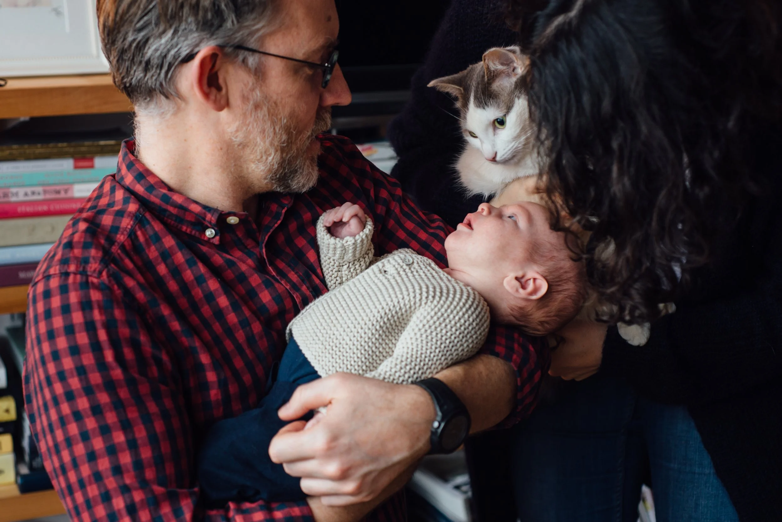 An older man wearing glasses and a red plaid shirt is holding and looking affectionately at a baby and two cats. The baby, wearing a beige sweater, is gazing at the cats, one black and the other white and gray. The scene takes place indoors, with she