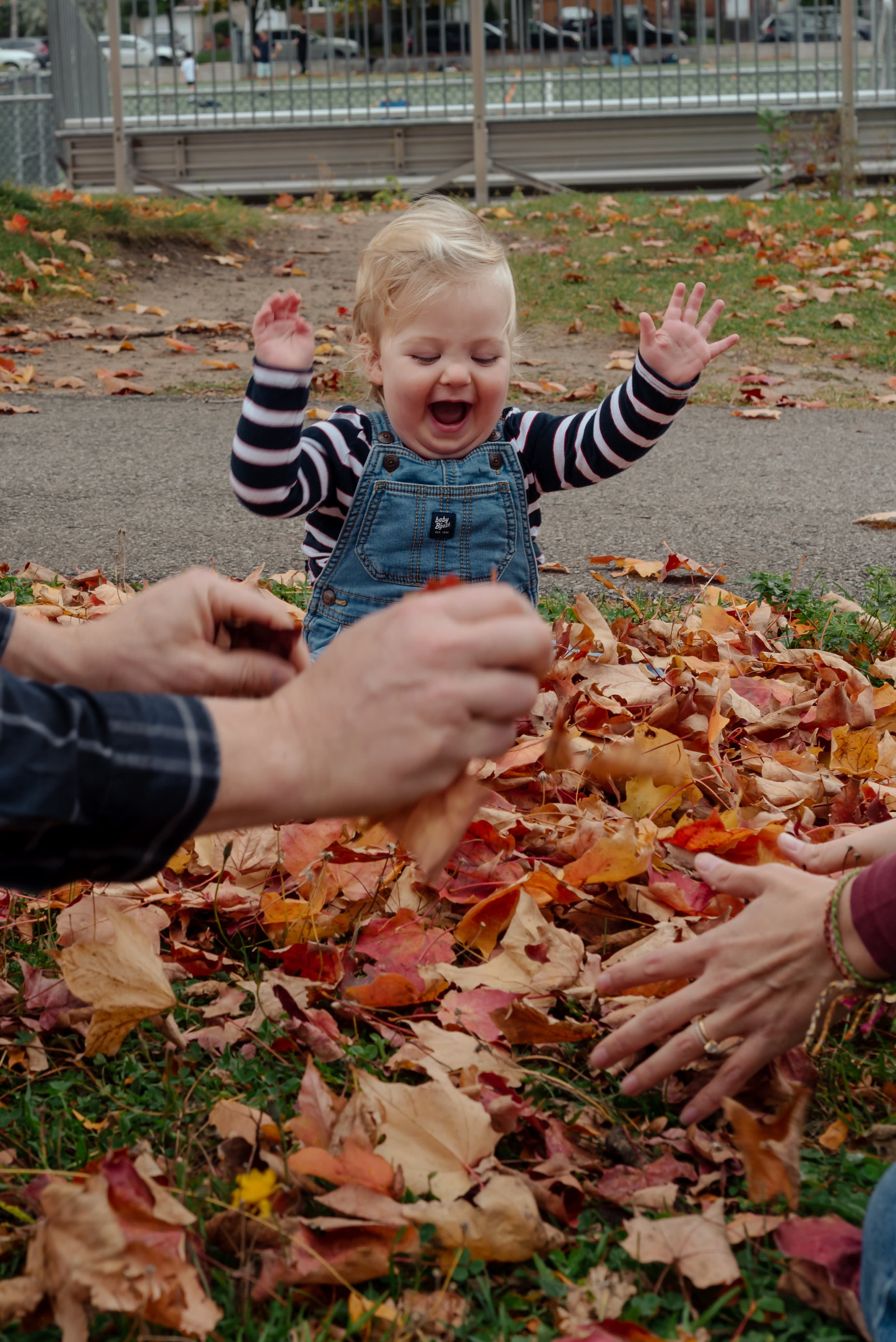 LouisAutumn26_12.jpg