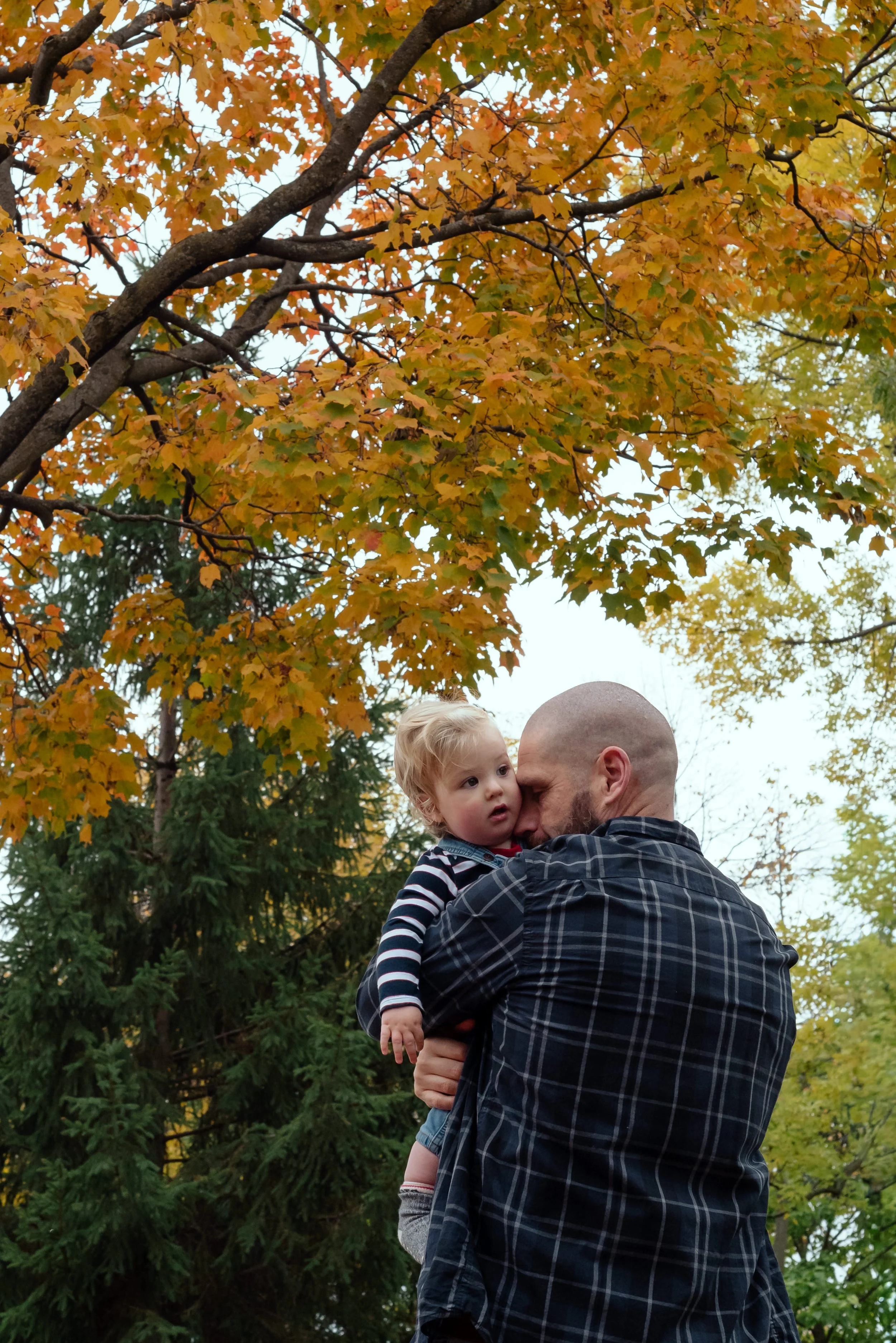 LouisAutumn26_89.jpg