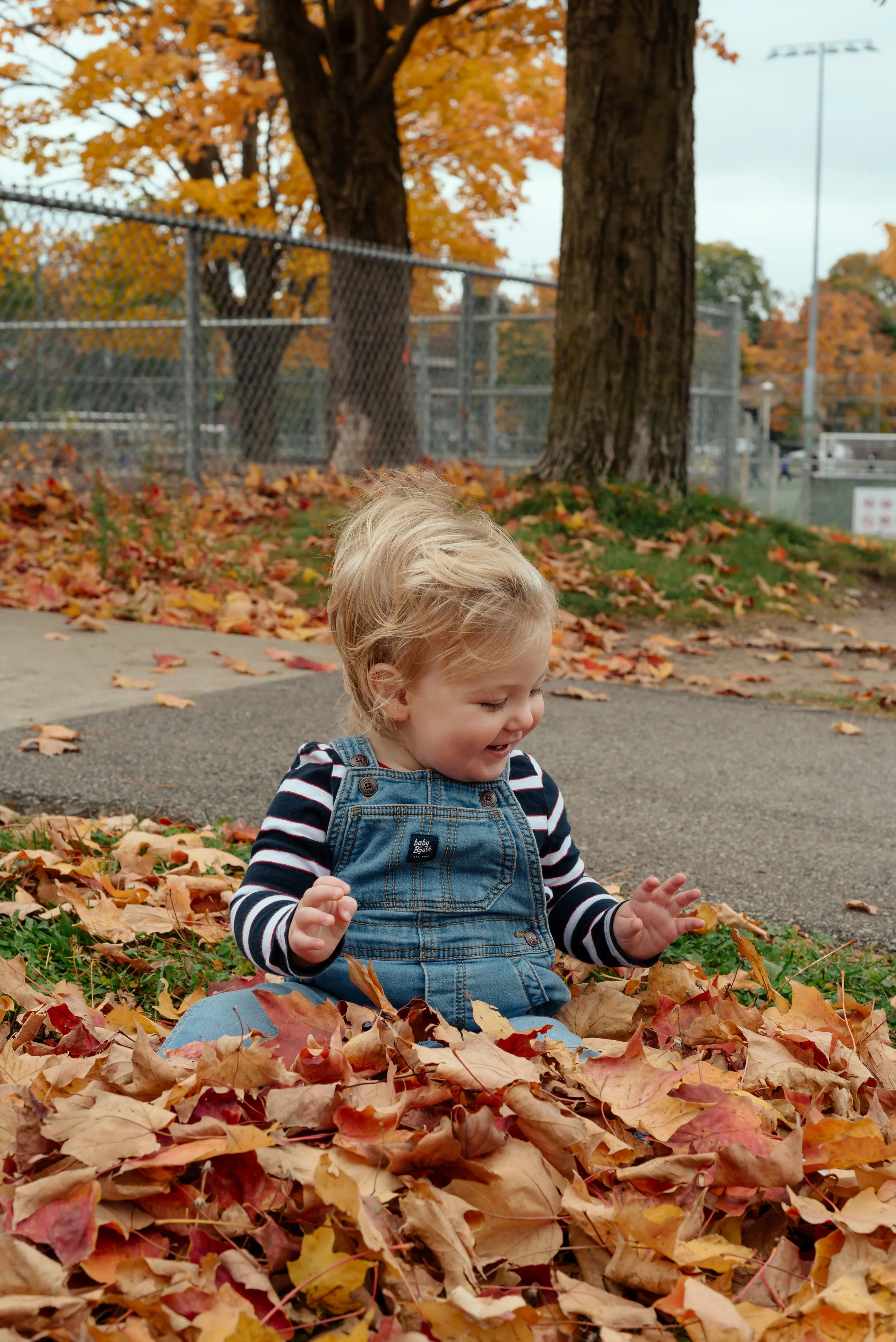 LouisAutumn26_11.jpg
