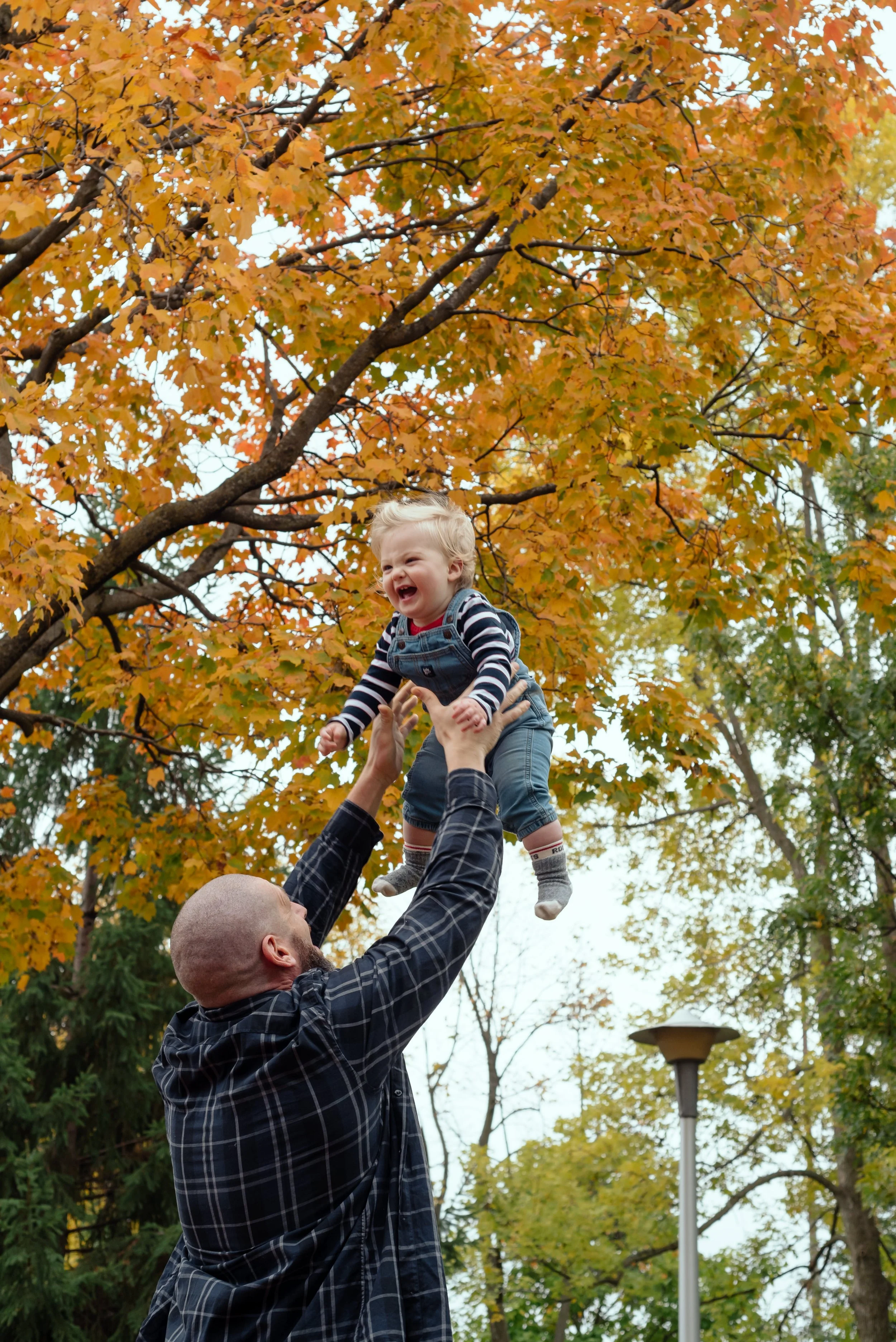LouisAutumn26_88.jpg
