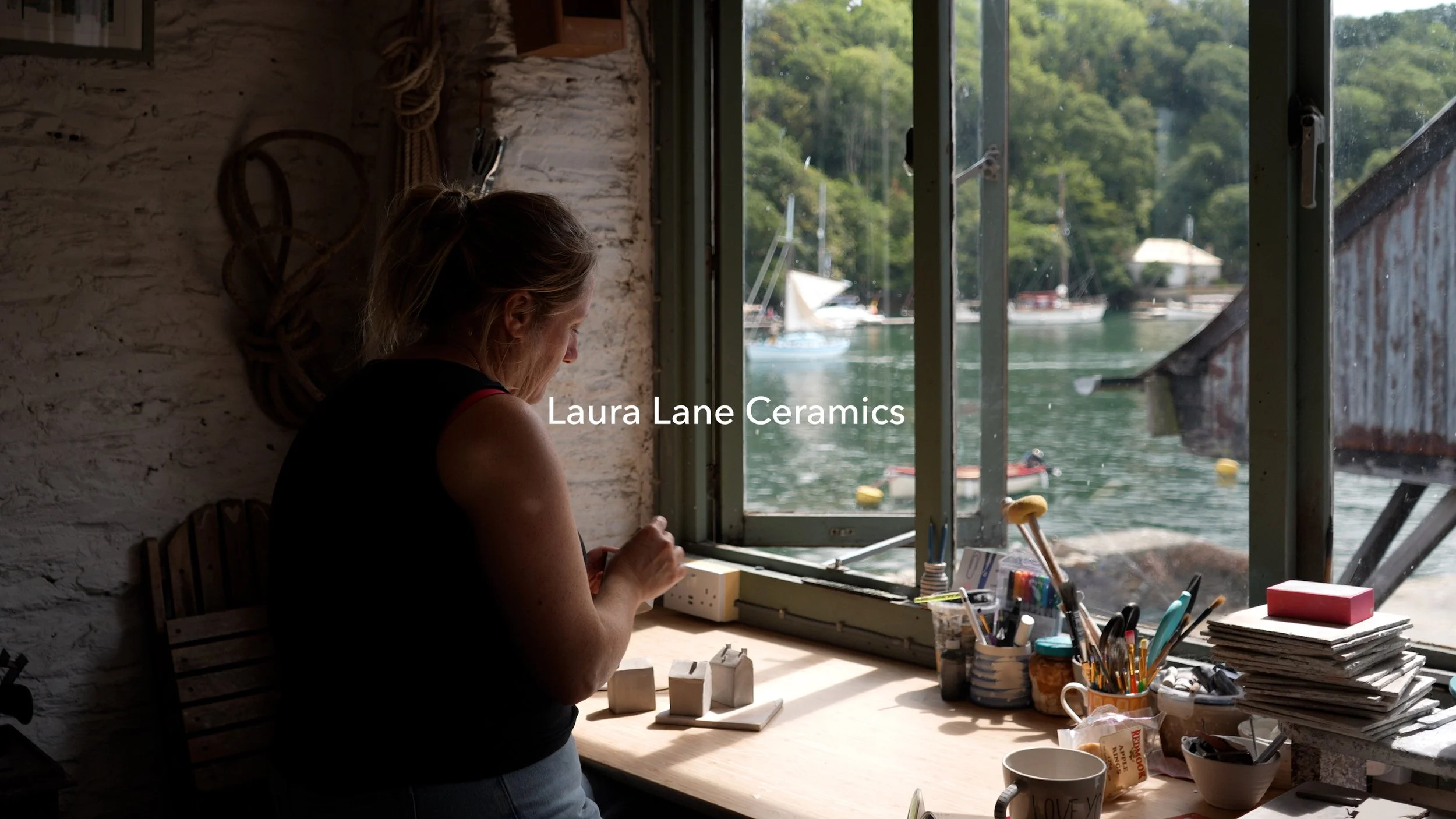 Laura Lane Landscape 4k for stills.00_00_04_07.Still002.jpg