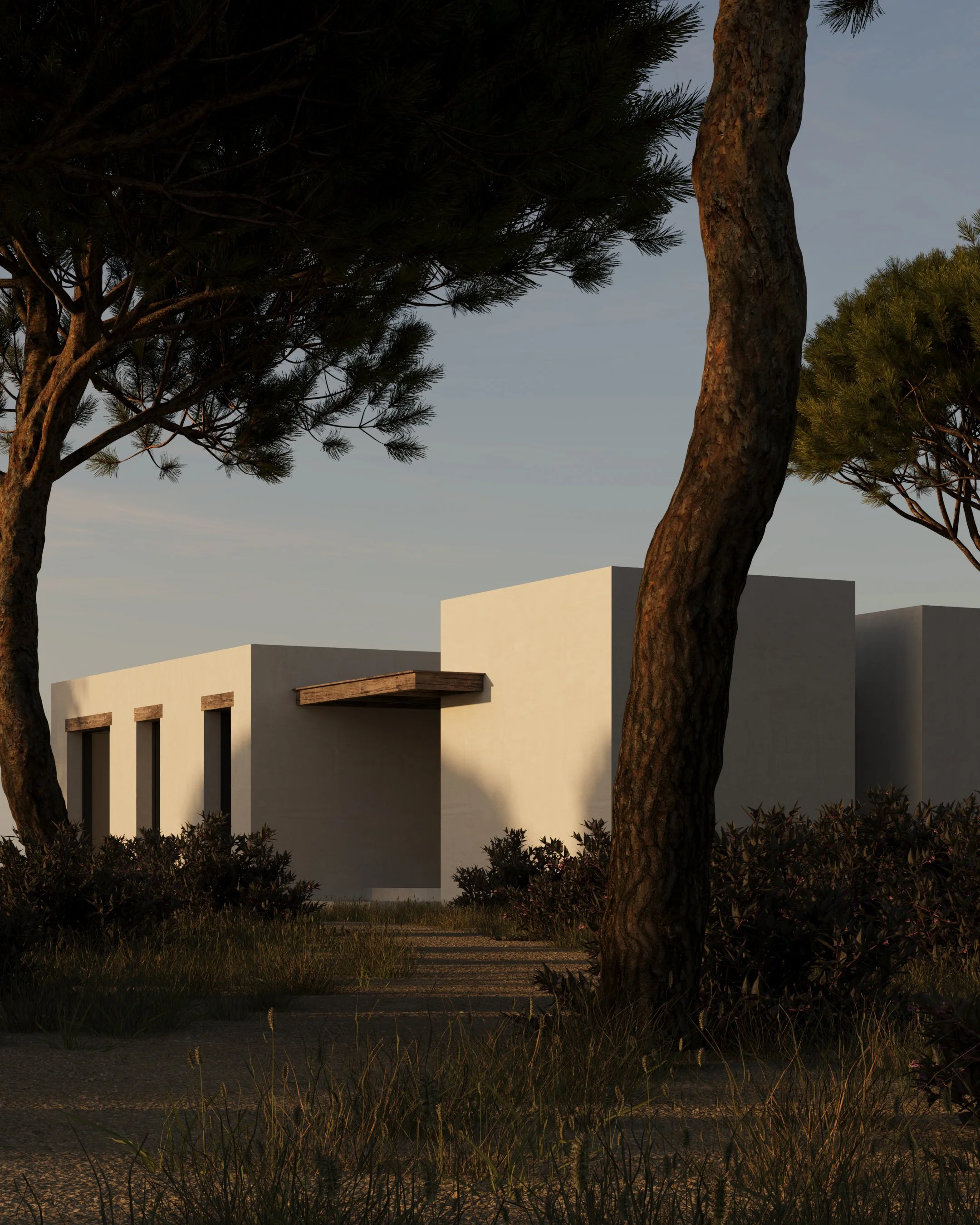 A modern white building with rectangular windows and brown accents, surrounded by trees and grass, during dusk or dawn.