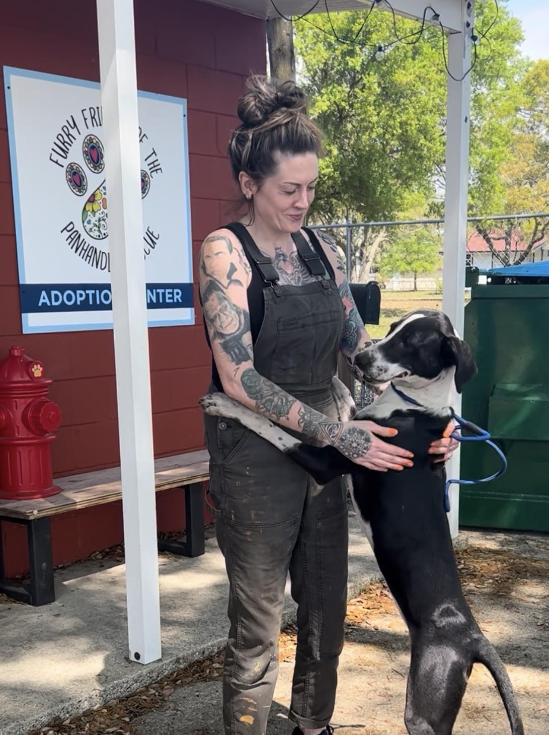 A woman wearing black overalls, holding a large black and white dog at an animal adoption center. The woman is smiling and the dog is looking at her. There is a sign in the background indicating an adoption center, some trees and a bench are visible.