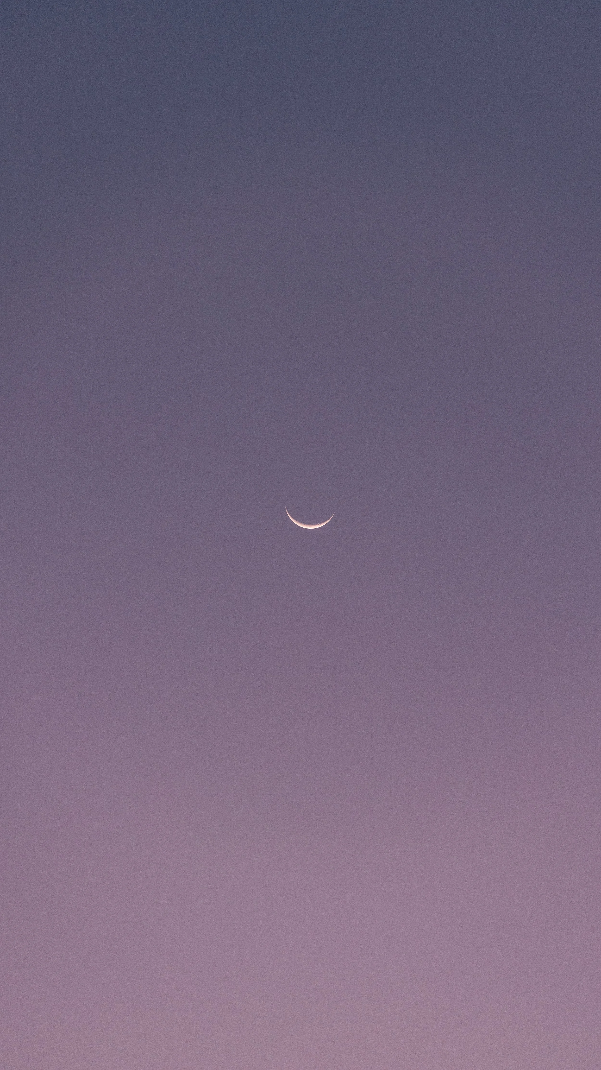 0A9A0262.jpg