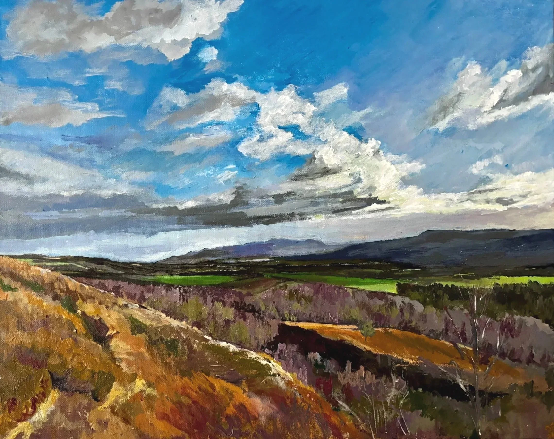 Loch Lomond, Winter Afternoon
2025
Acrylic on canvas
16 x 20"
