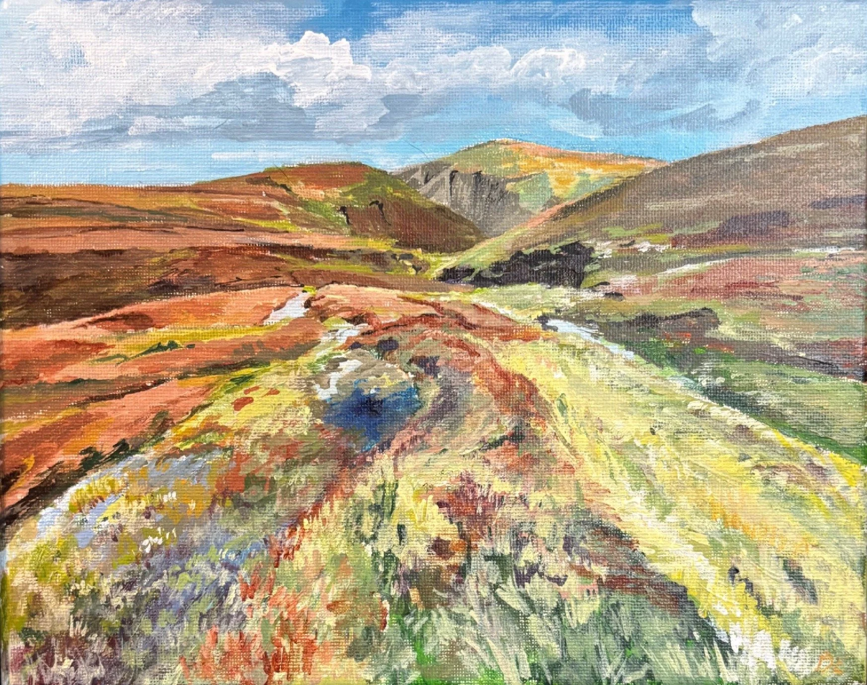 Shetland near Haroldswick, 2023
Acrylic on canvas
8 x 10"