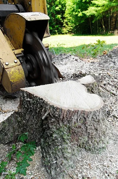 Stump Grinding