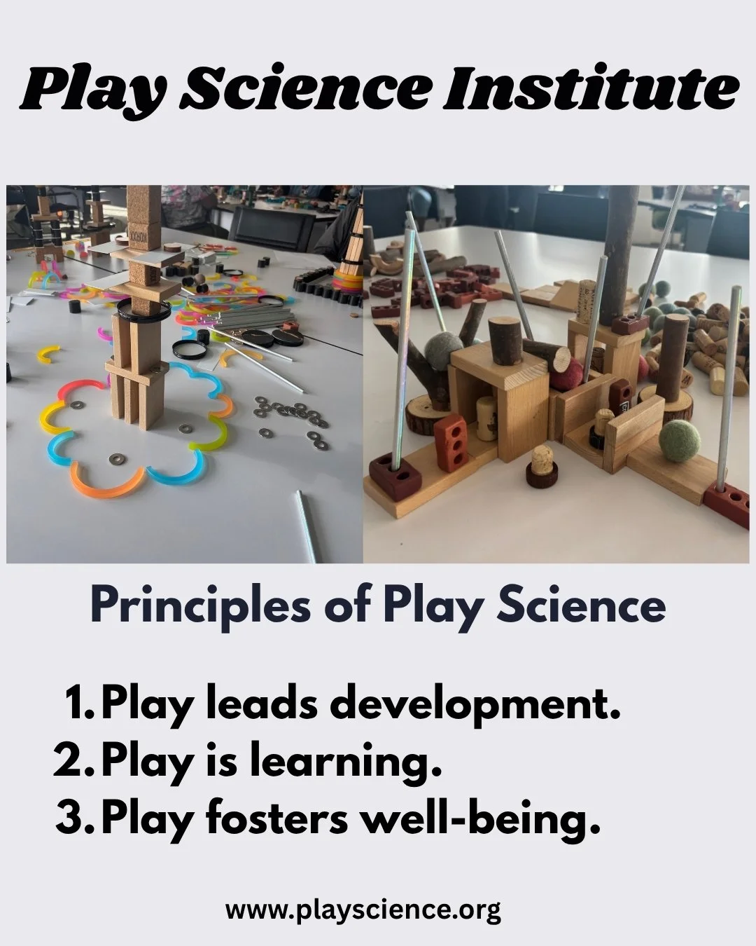 Principles of Play Science