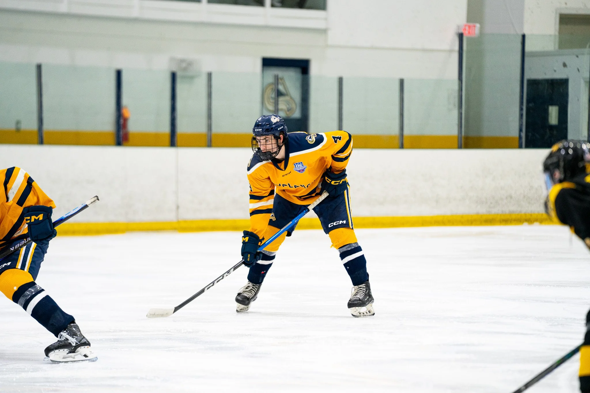 Hockey players in yellow and navy uniforms playing on an ice rink during practice or a game.
