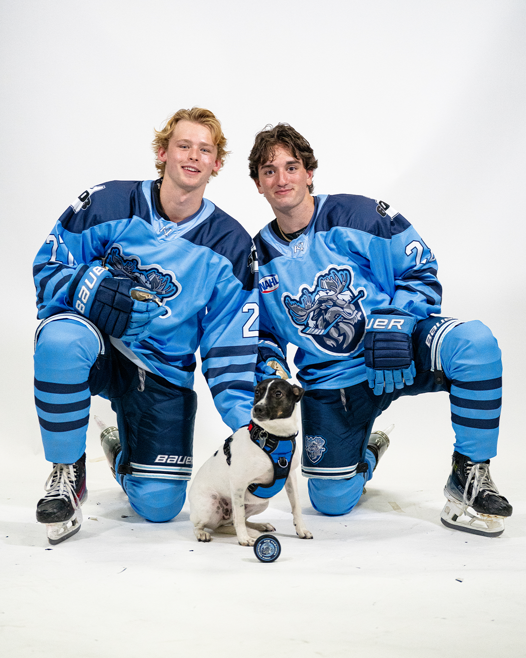 Two young male ice hockey players in blue jerseys with a dragon logo kneeling on the ice with a small black and white dog between them, all wearing hockey gear and kneeling on one knee