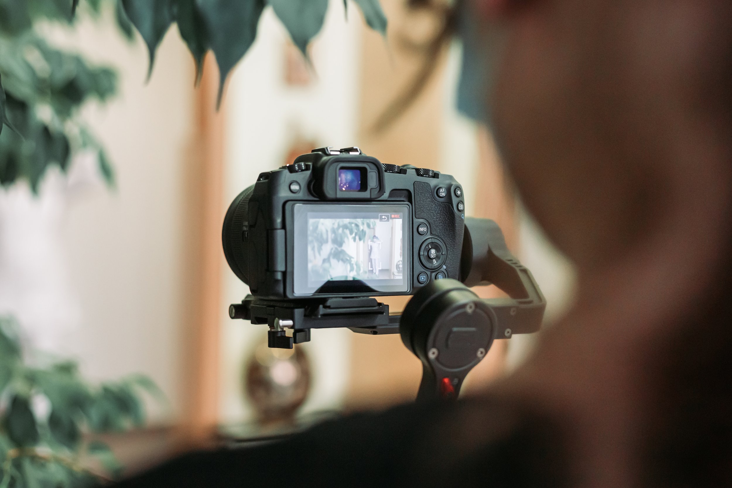 A digital camera mounted on a tripod capturing an indoor scene with blurred plants and warm-colored walls in the background.