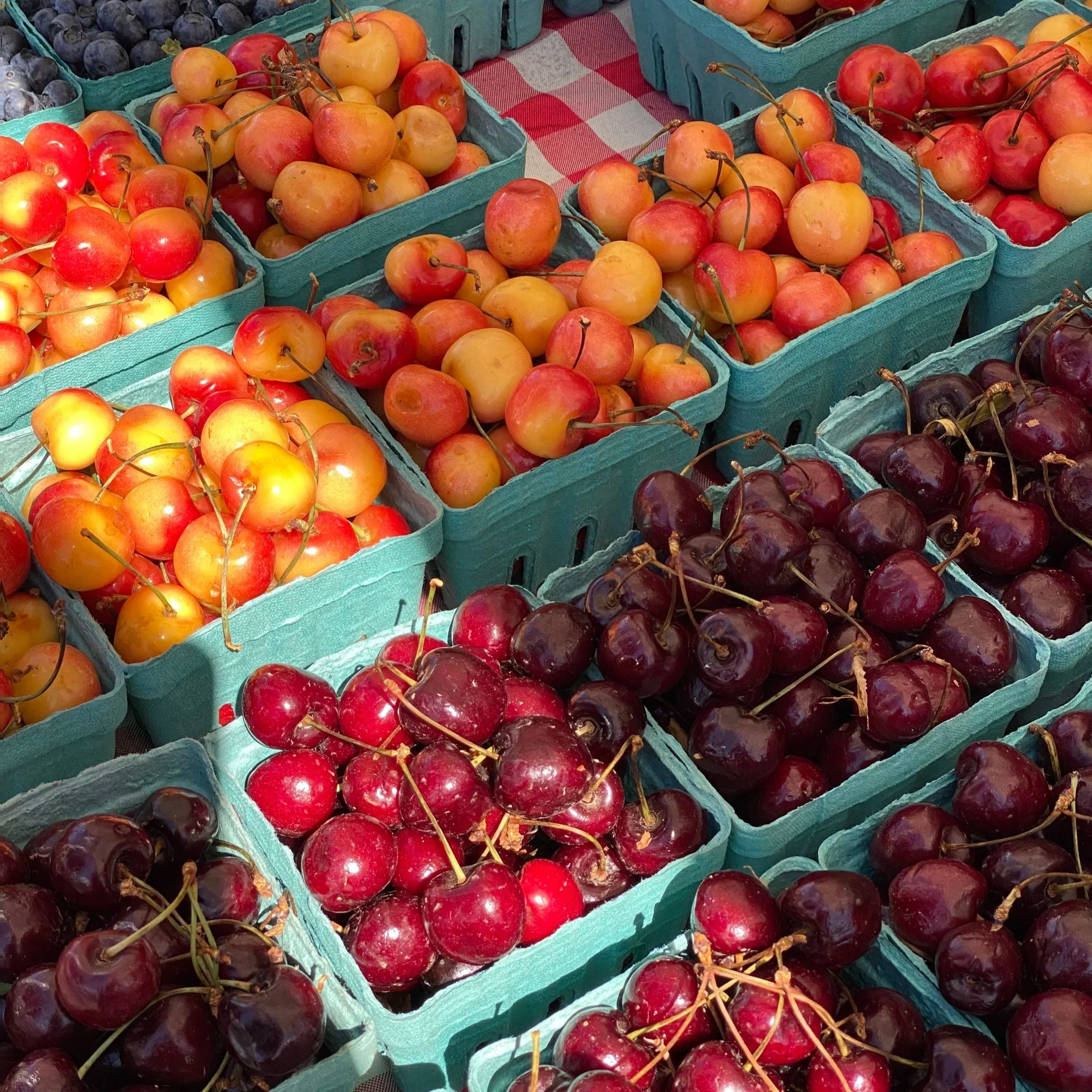 Best Farmers Markets from the Lakeshore to Grand Rapids