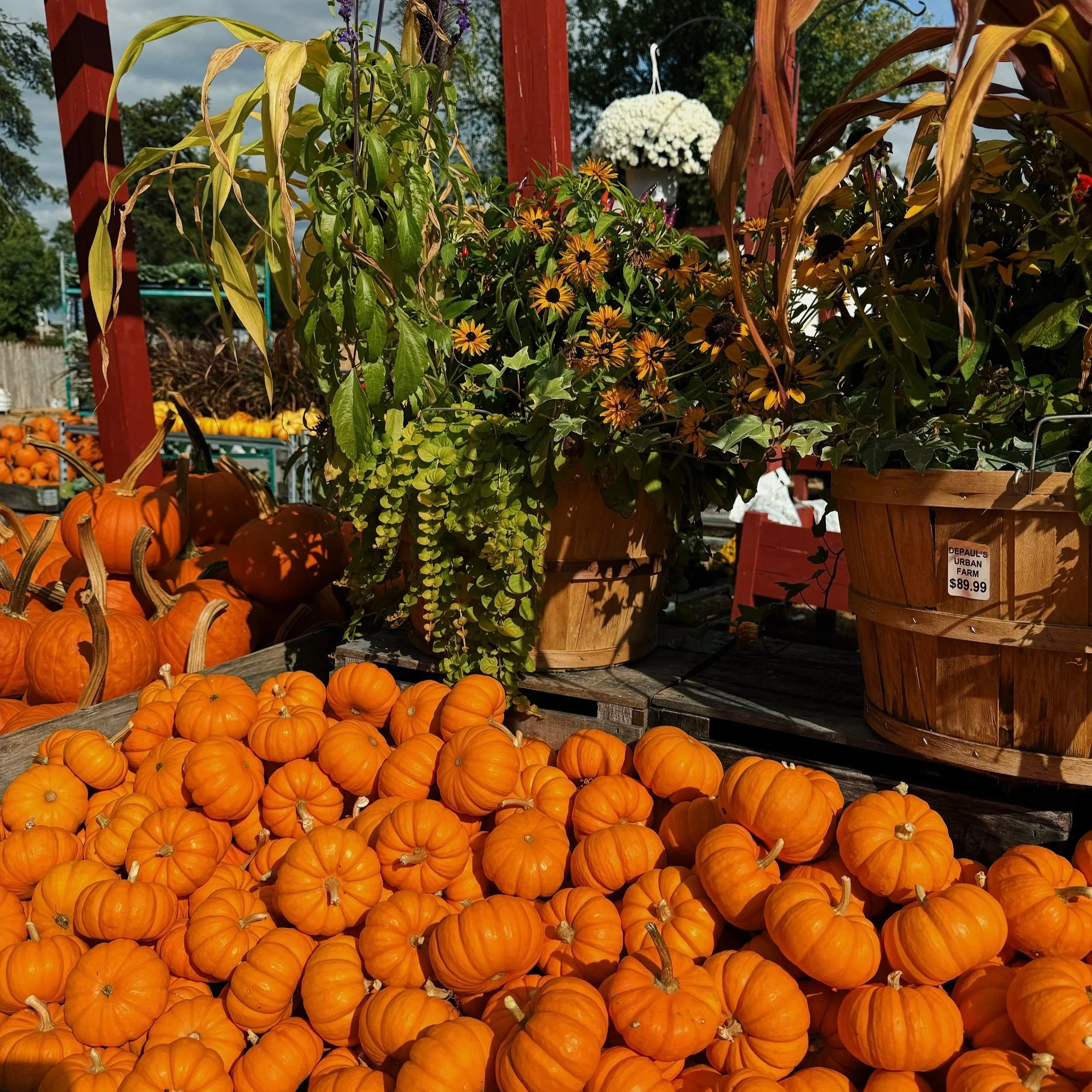 Fall in West Michigan: Your Guide to the Best of the Season