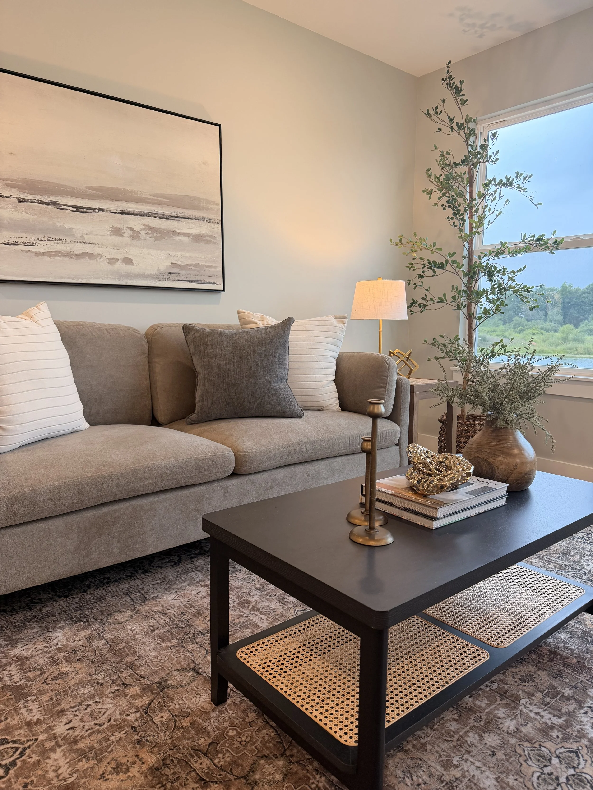 Living room with beige sofa and decorative pillows, large abstract wall art, black coffee table with magazines and decorative items, nearby side table with a lamp, a tall houseplant near the window, and a view of greenery outside.