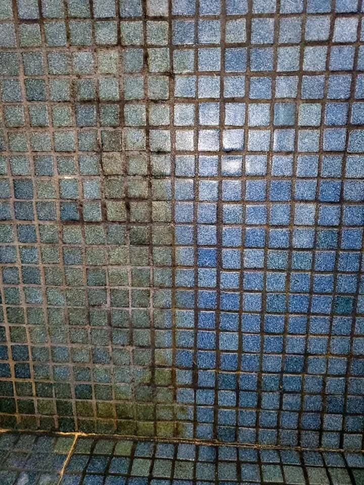 Midway through cleaning tiled shower in Mt Lebanon PA