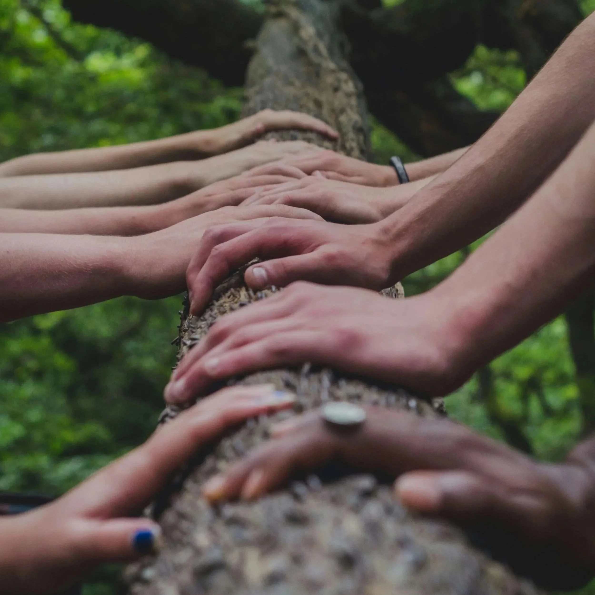 Ten hands from different people and different skin colors are next to each other on top of a log.