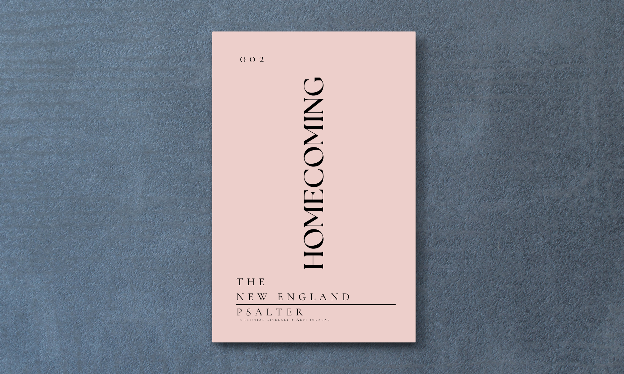 Issue 2 - Homecoming