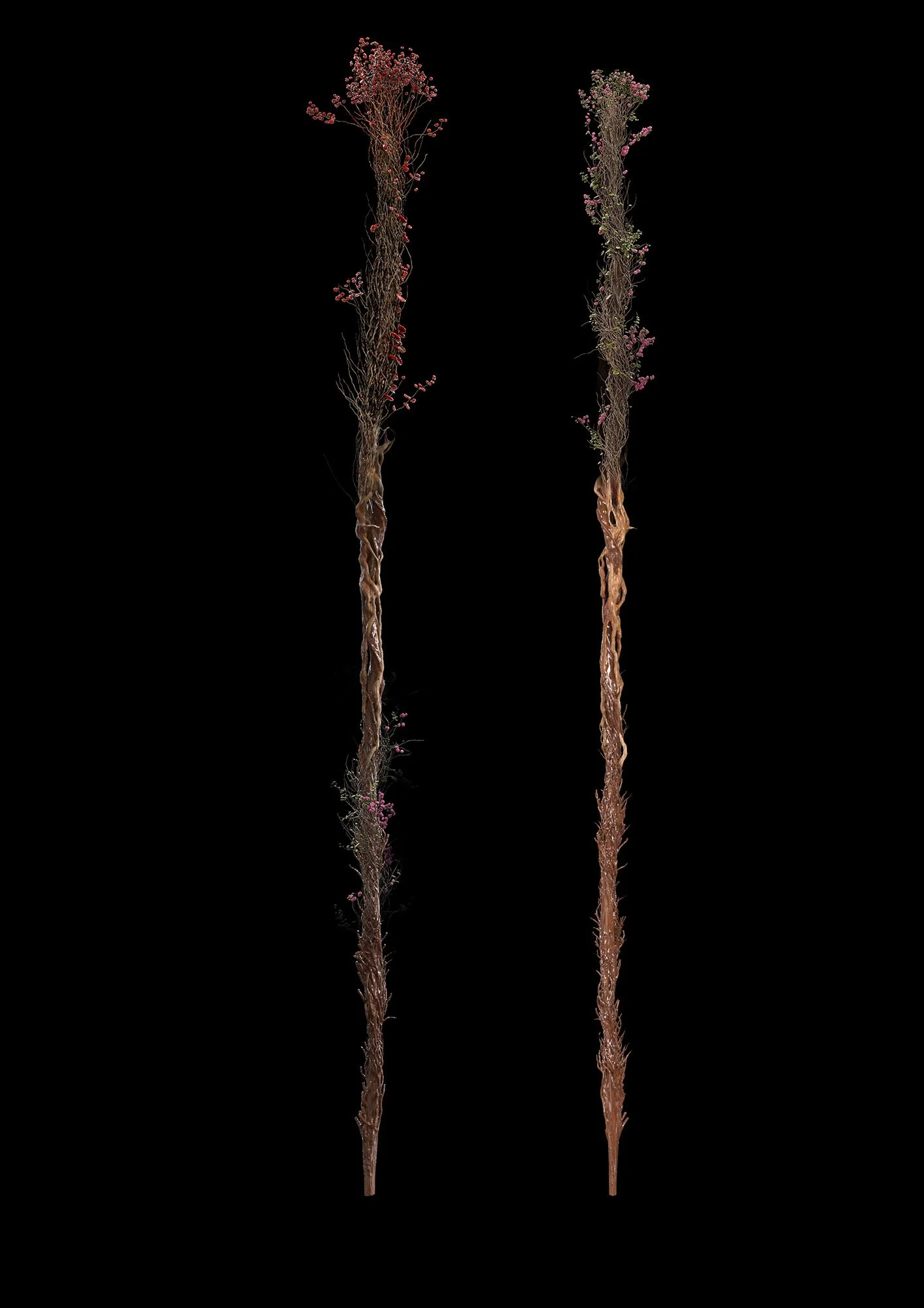 robbliss-5e5d5096268ab61.jpg